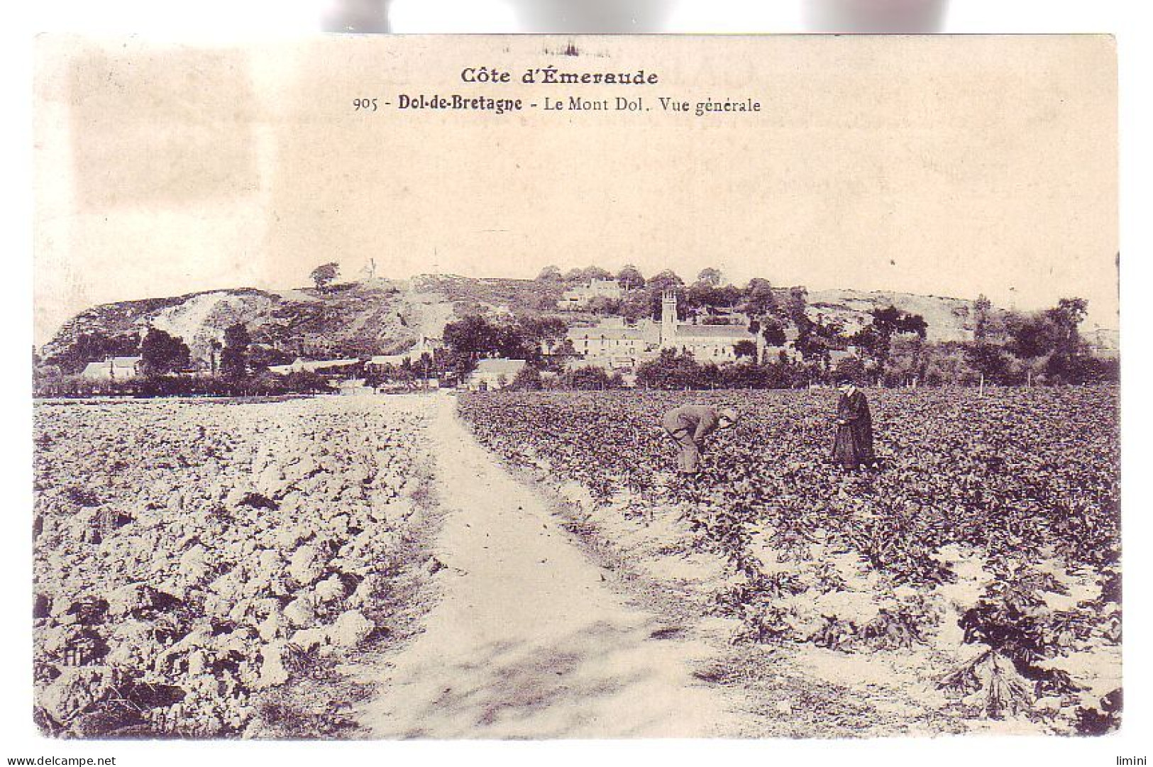 35 - DOL De BRETAGNE - MONT DOL - VUE GÉNÉRALE - ANIMÉE - - Dol De Bretagne