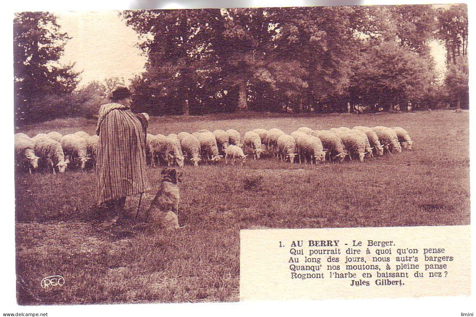 36 - AU BERRY - Le BERGER Et Ses MOUTONS - ANIMÉE - - Andere & Zonder Classificatie