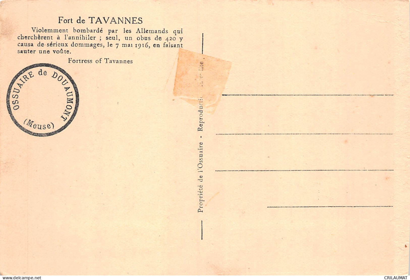 55-FORT DE TAVANNES-N°LP5135-A/0219 - Andere & Zonder Classificatie