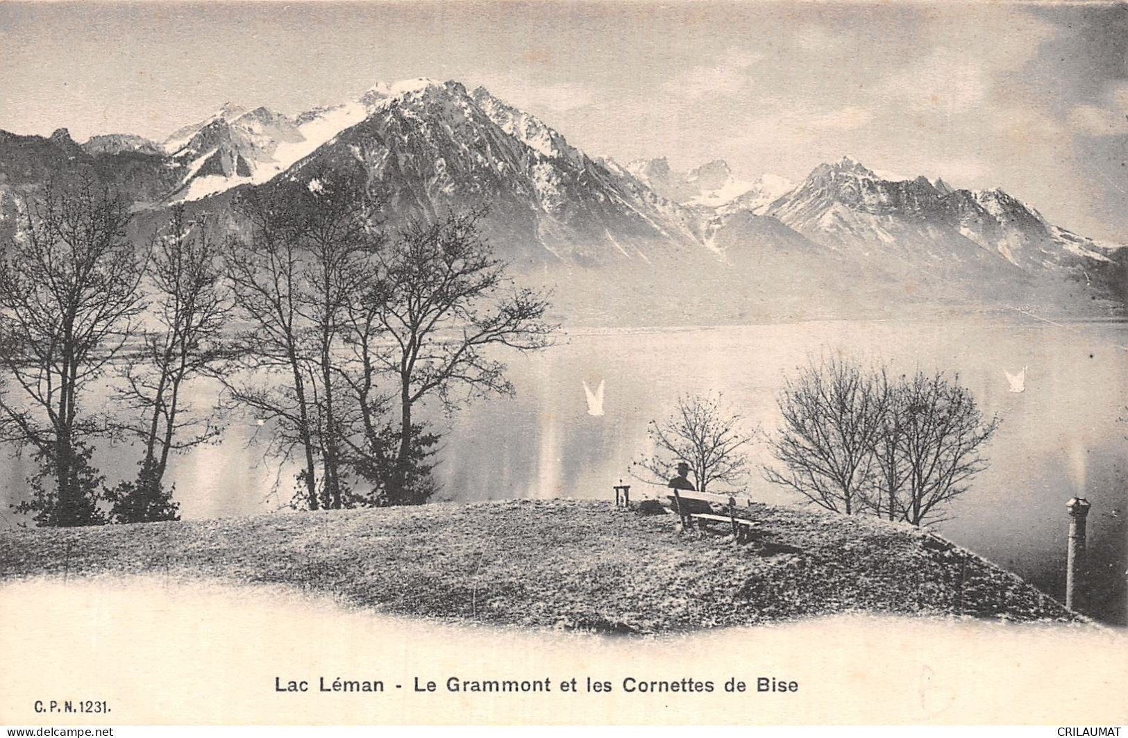 ET-SUISSE LAC LEMAN LE GRAMMONT ET LES CORNETTES DE BISE-N°LP5134-H/0373 - Mon