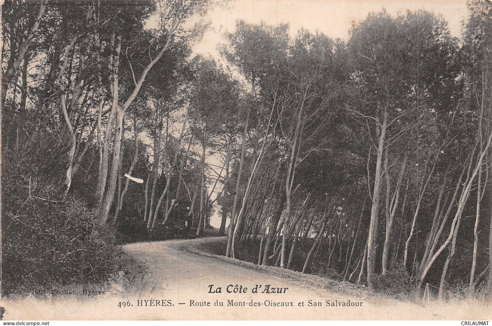 83-HYERES LES PALMIERS-N°LP5134-G/0365 - Hyeres