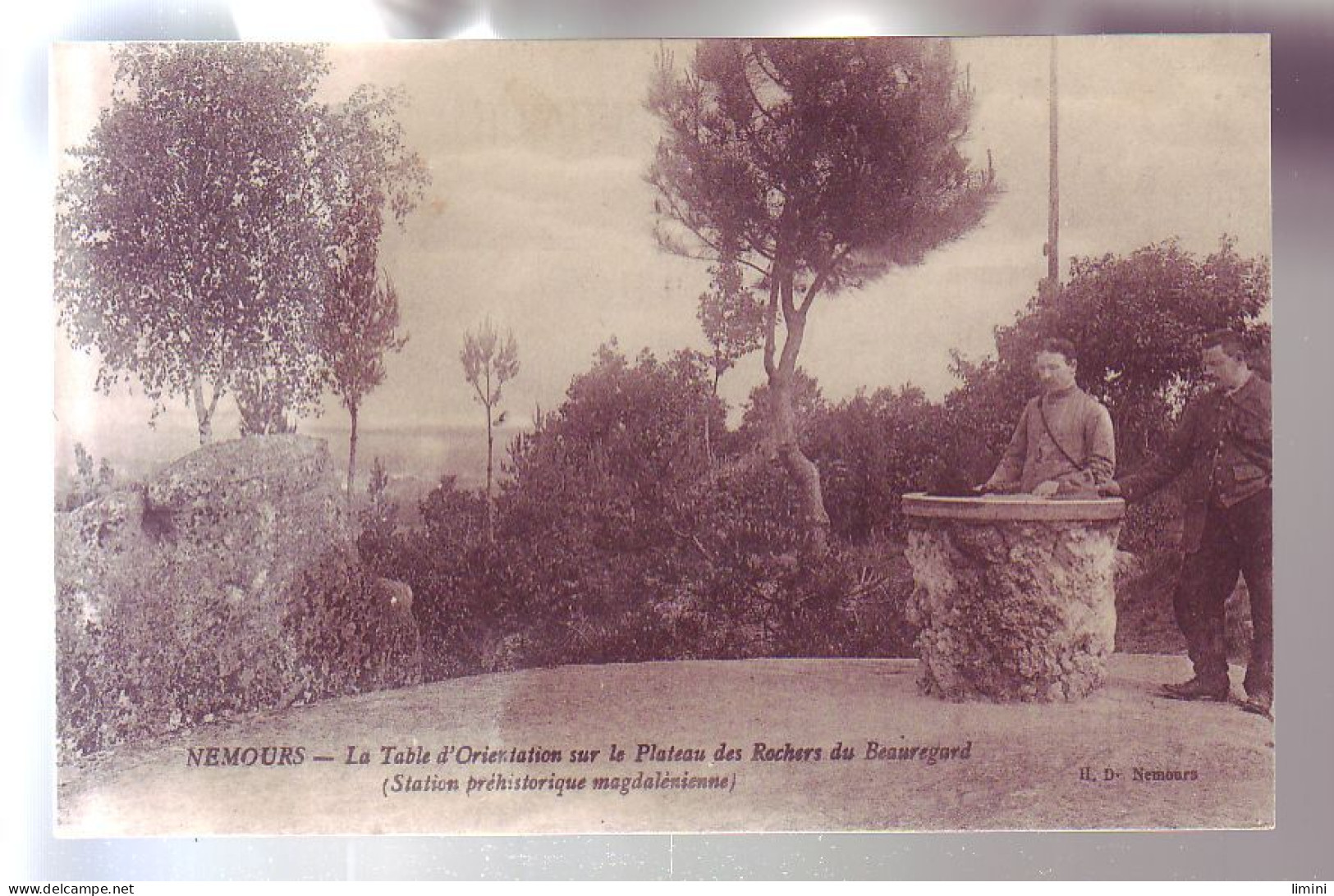 77 - NEMOURS - TABLE D'ORIENTATION Sur Le PLATEAU Des ROCHERS Du BEAUREGARD - ANIMÉE -  - Nemours