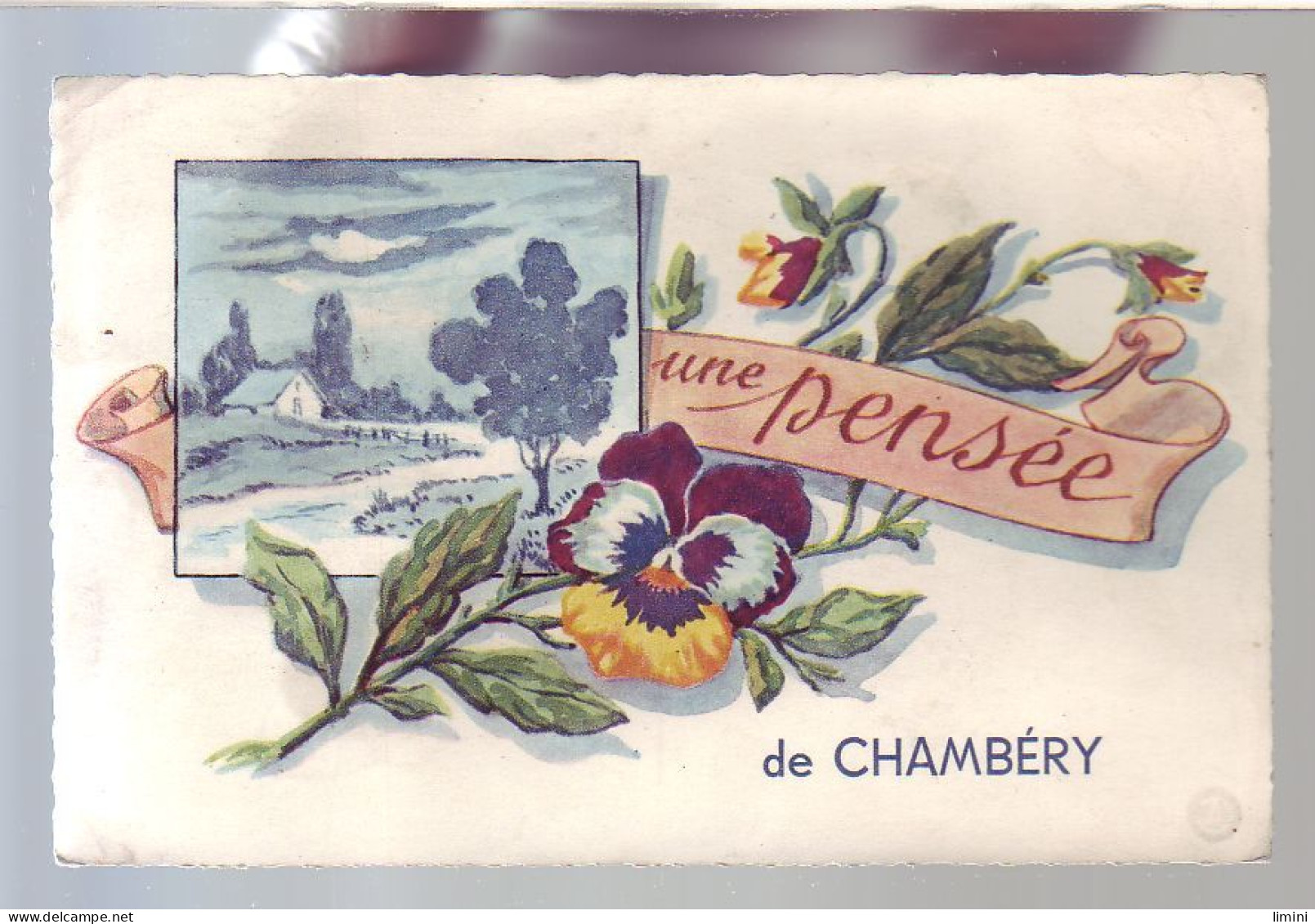 73 - FLEURS - CHAMBERY - Une PENSÉE De CHAMBERY - - Chambery