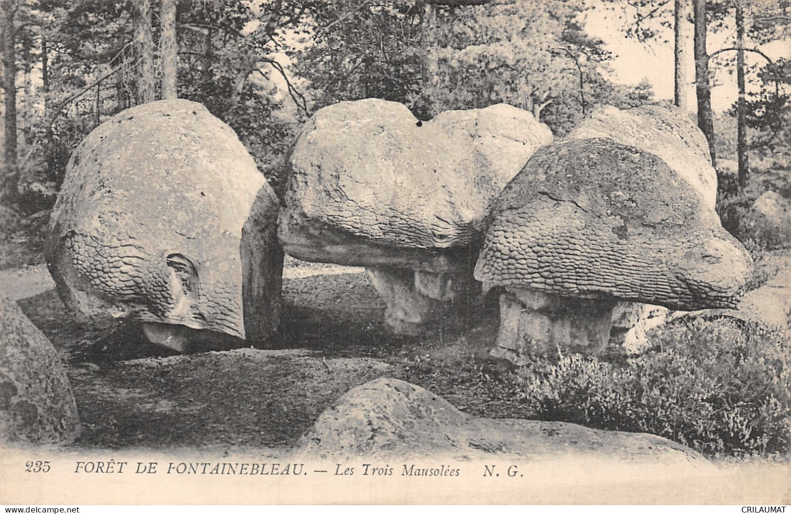 77-FONTAINEBLEAU LA FORET LES TROIS MAUSOLEES-N°LP5135-B/0141 - Fontainebleau