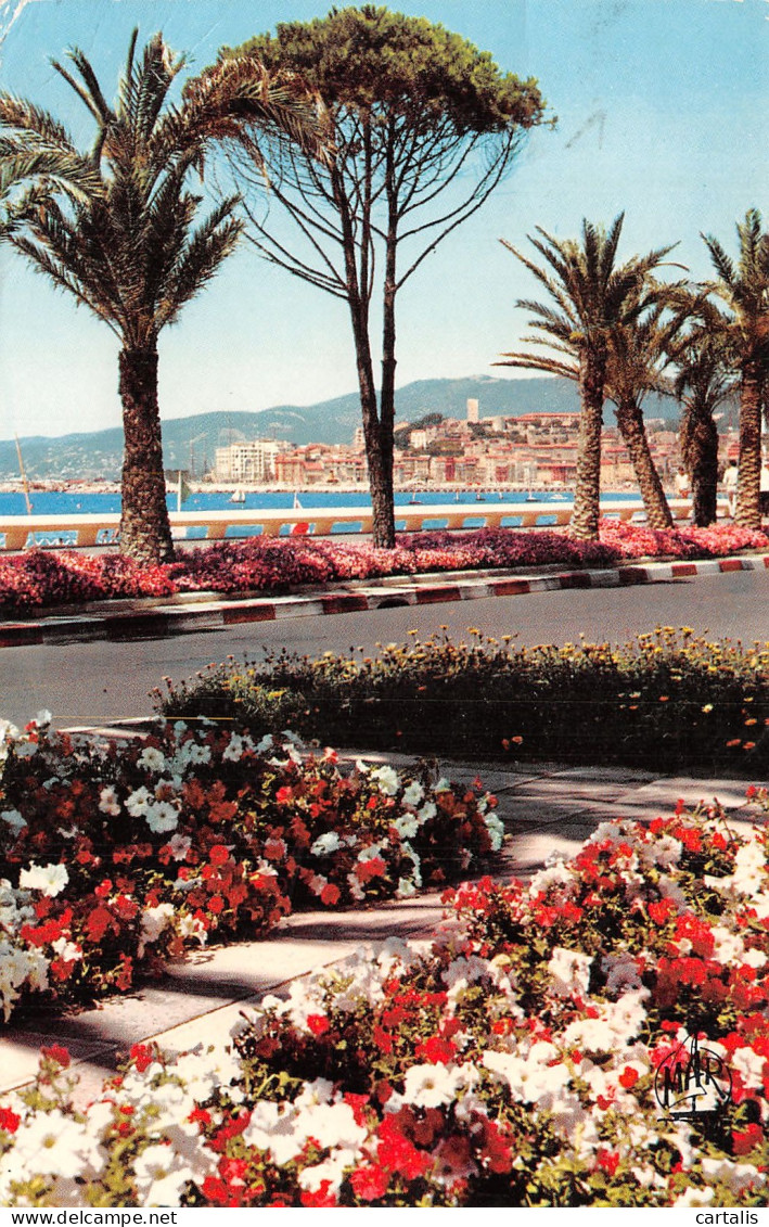06-CANNES-N°4189-G/0277 - Cannes