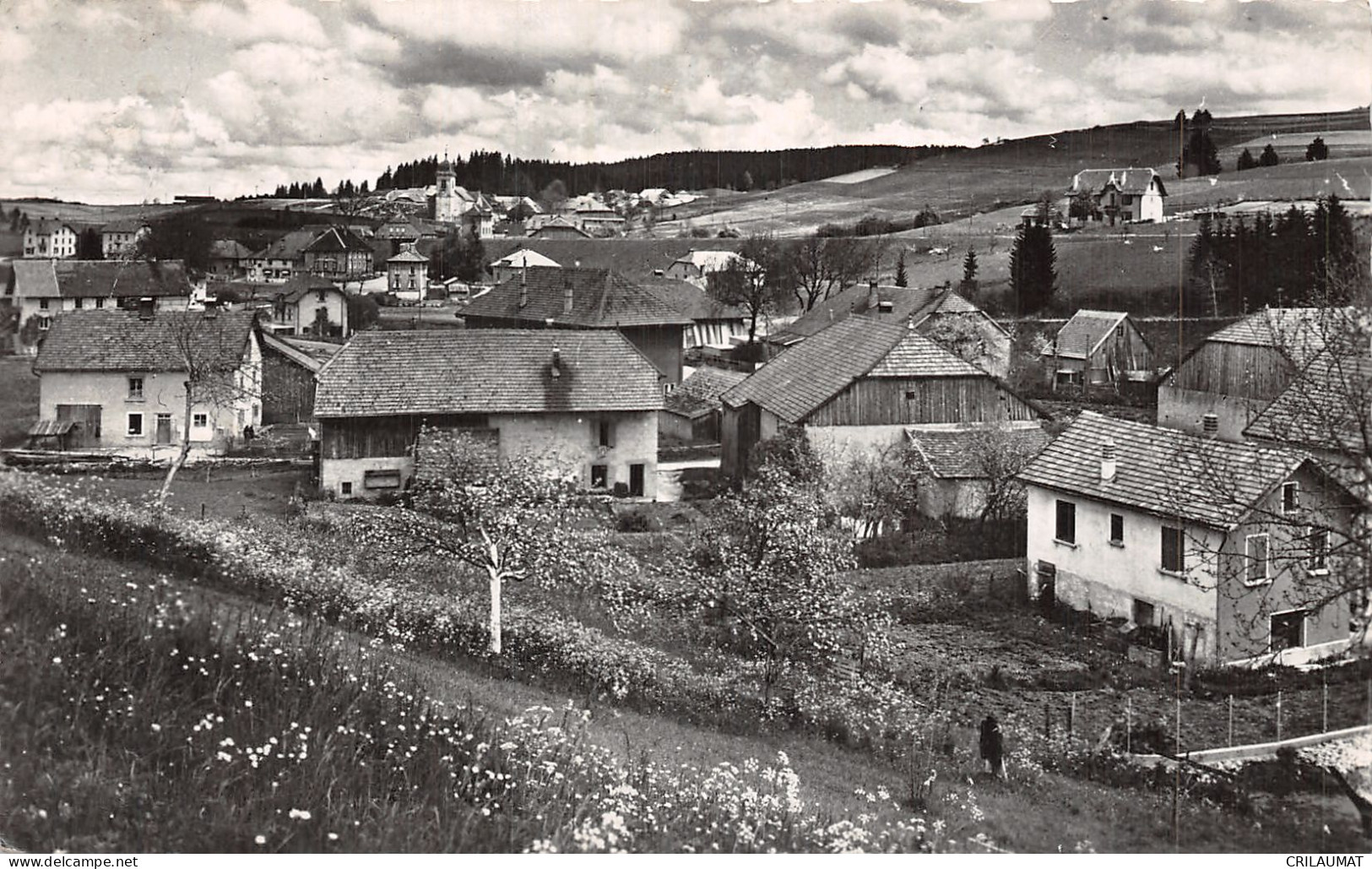 25-LABERGEMENT SAINTE MARIE-N°LP5135-E/0233 - Autres & Non Classés