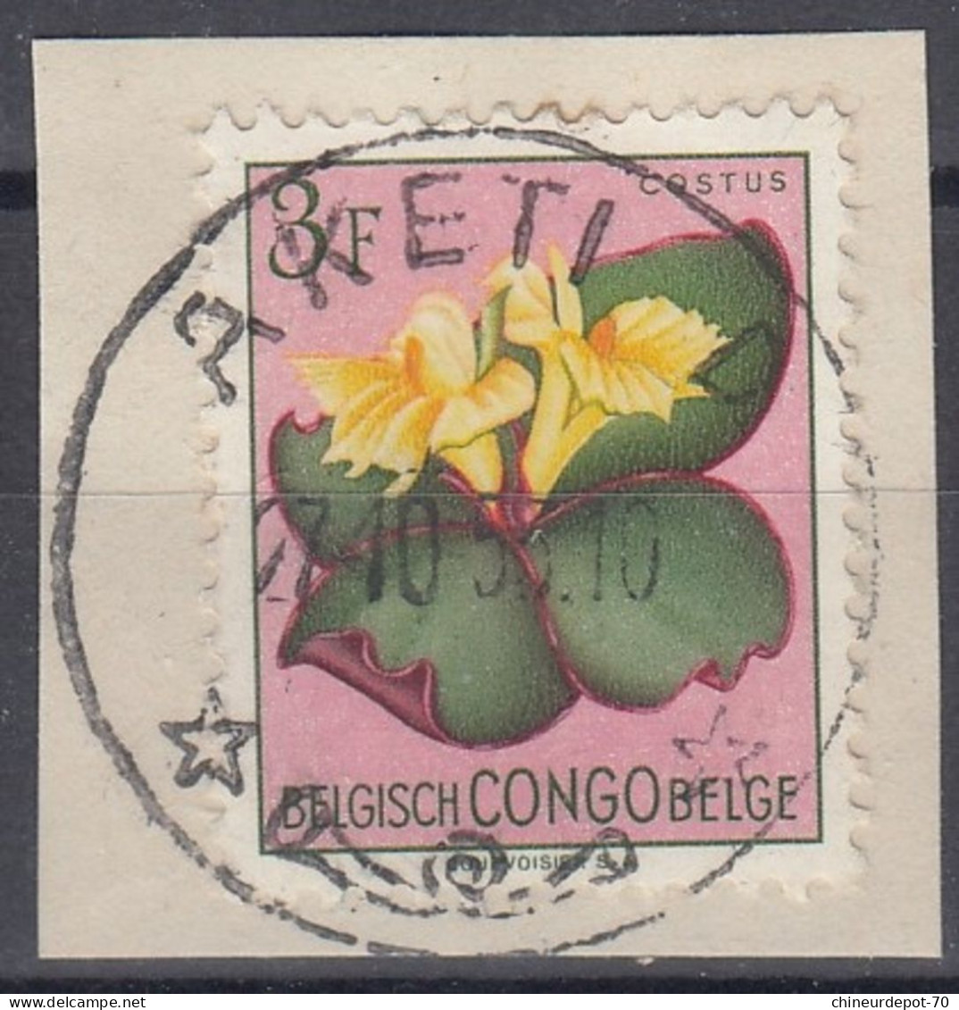 Congo Belge Fleur Aketi Province Du Bas-Uele - Oblitérés