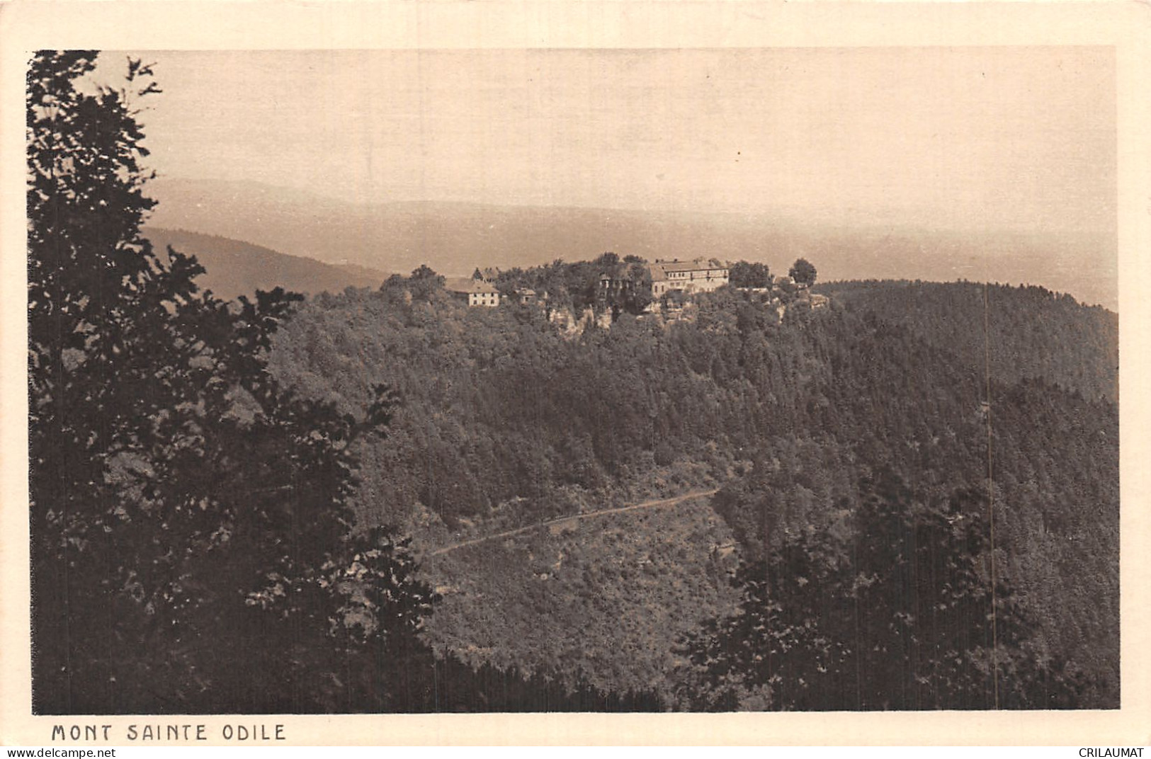 67-MONT SAINTE ODILE-N°LP5135-H/0001 - Sonstige & Ohne Zuordnung