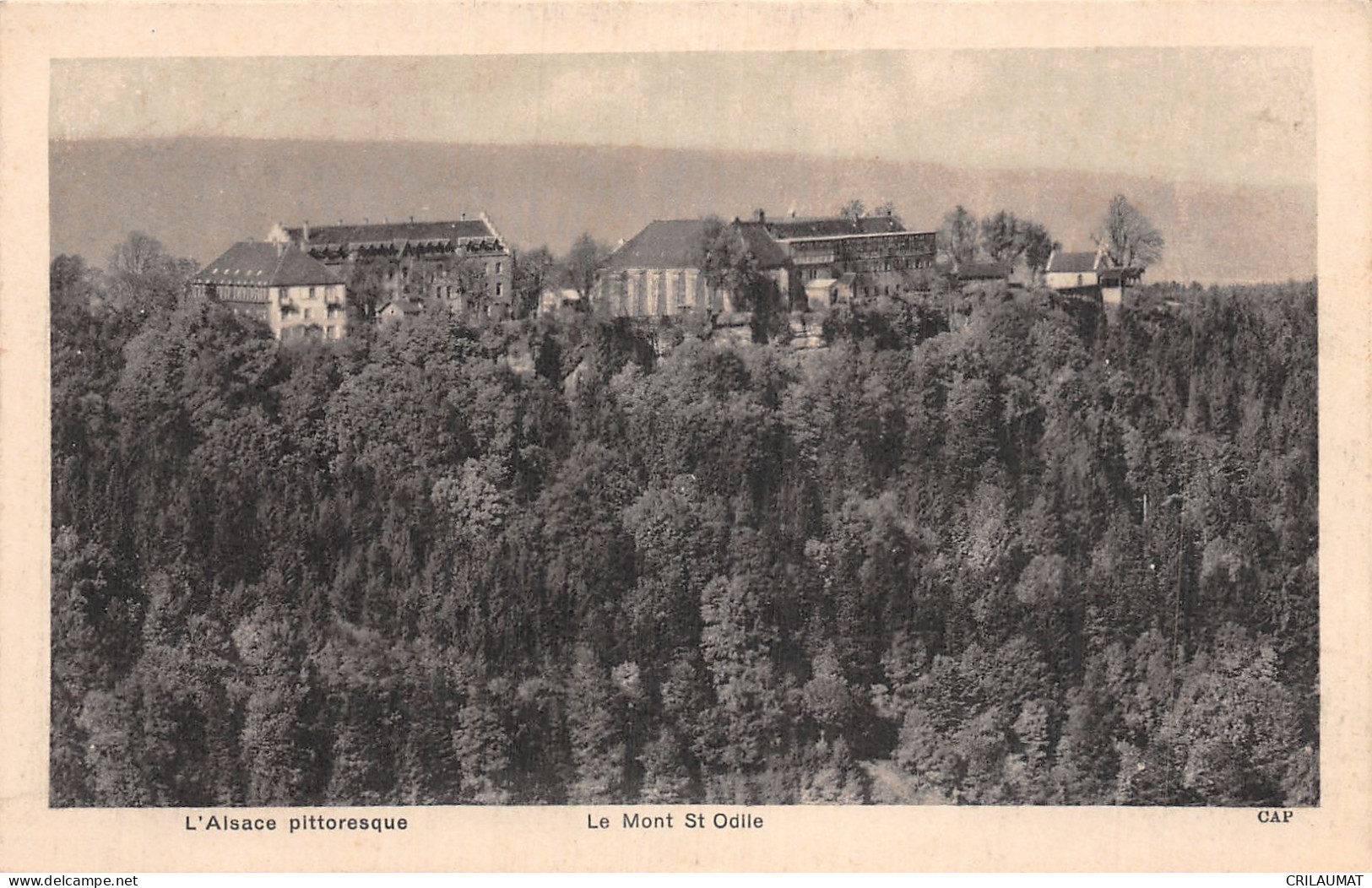 67-MONT SAINTE ODILE-N°LP5135-G/0129 - Andere & Zonder Classificatie