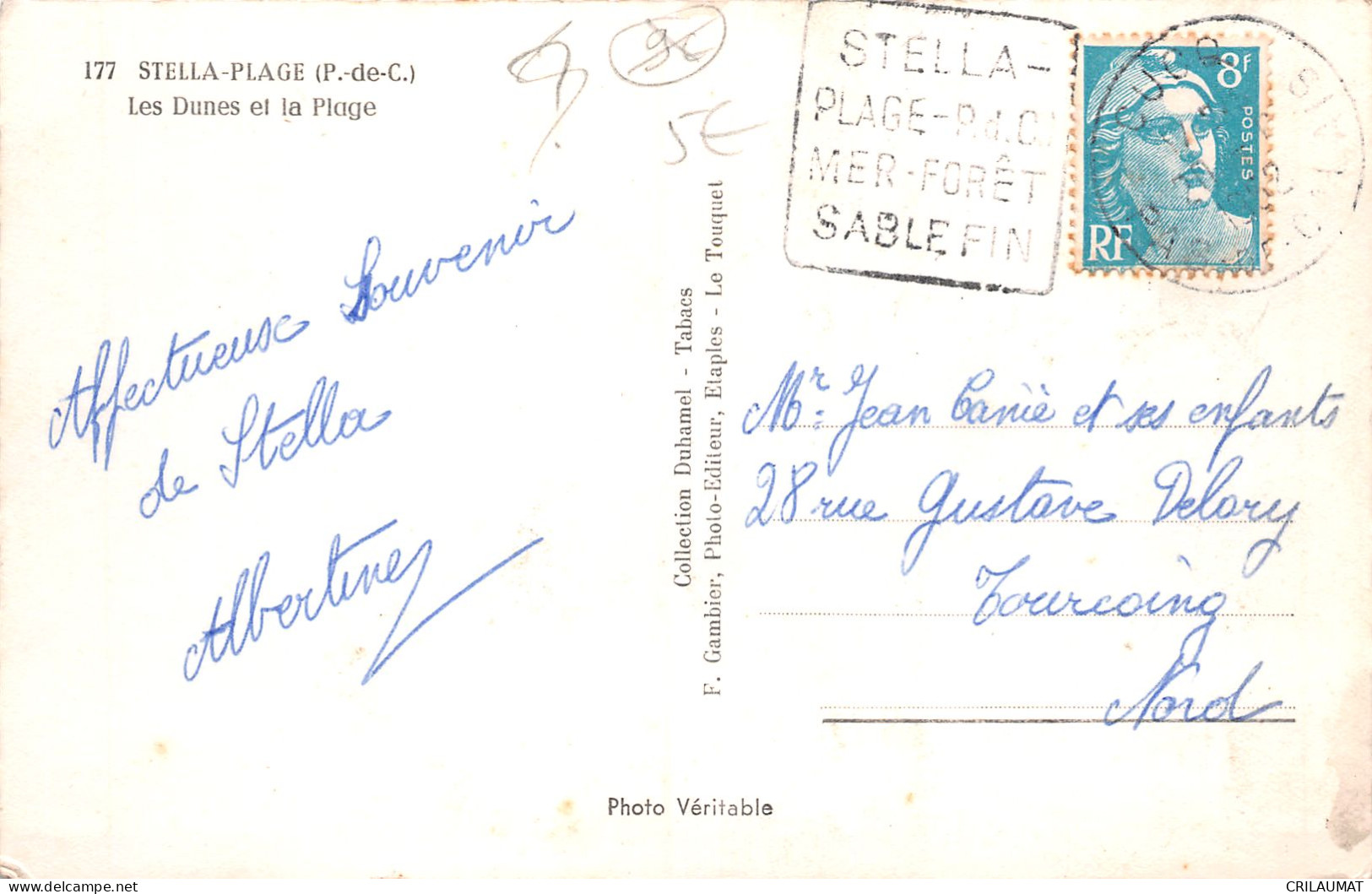 62-STELLA PLAGE-N°5136-B/0165 - Andere & Zonder Classificatie