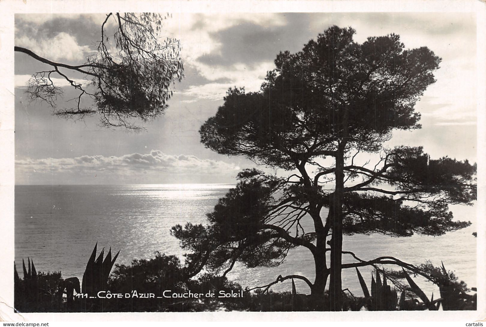 06-COTE D AZUR-N°4190-H/0391 - Altri & Non Classificati