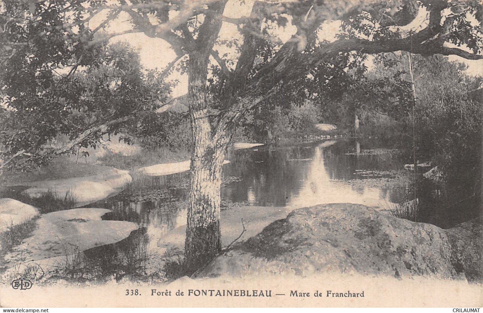 77-FONTAINEBLEAU LA FORET-N°5136-F/0257 - Fontainebleau