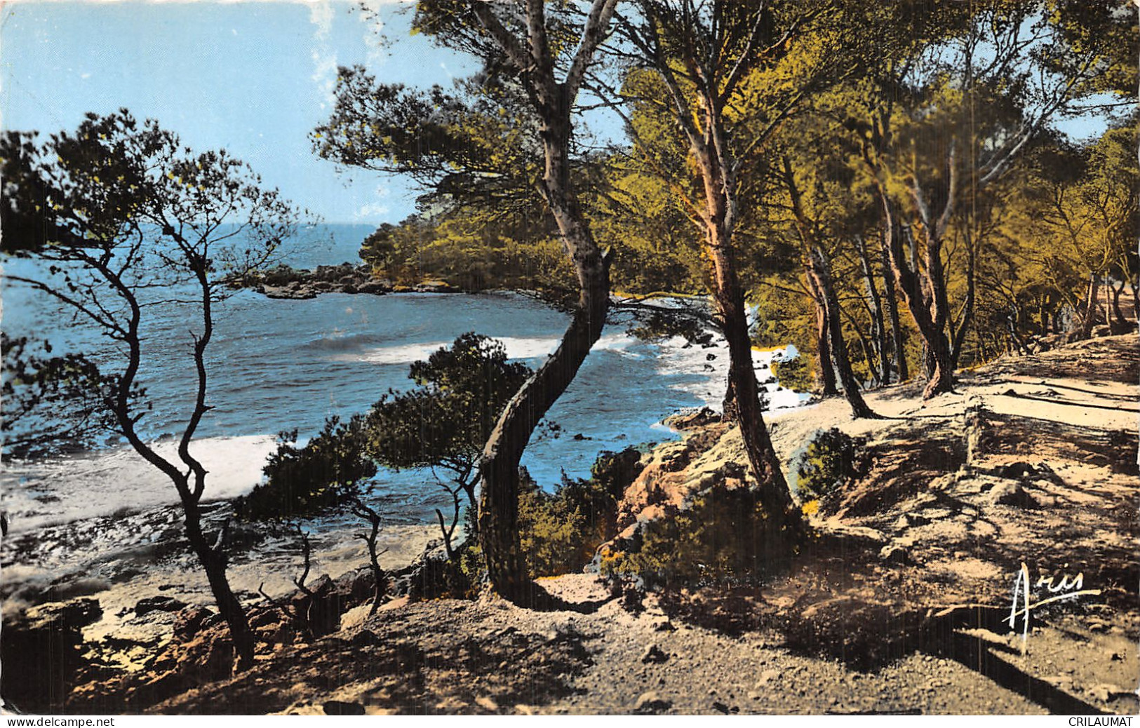 83-COTE D AZUR-N°5136-E/0181 - Andere & Zonder Classificatie