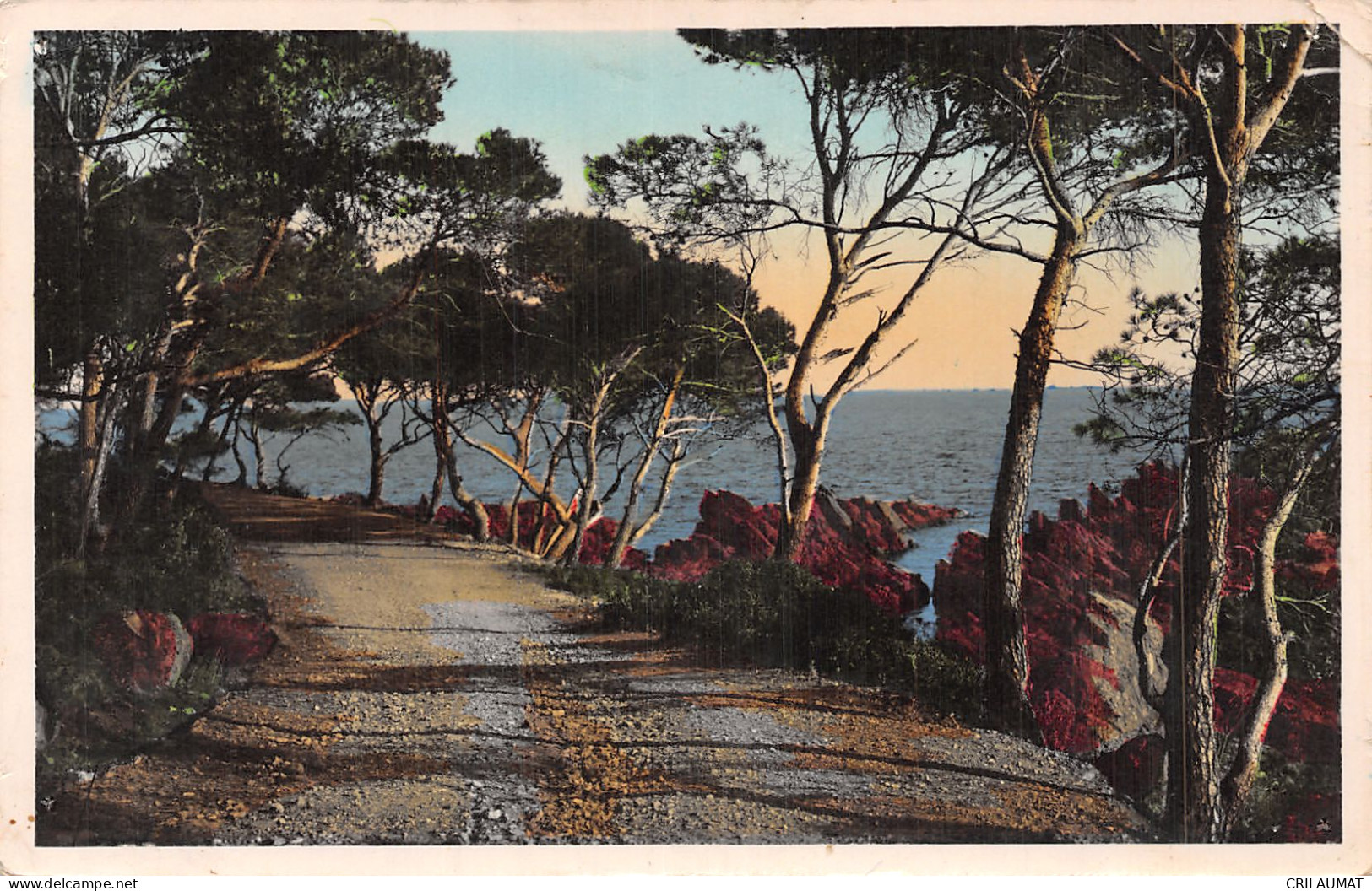 83-COTE D AZUR-N°5136-E/0163 - Andere & Zonder Classificatie