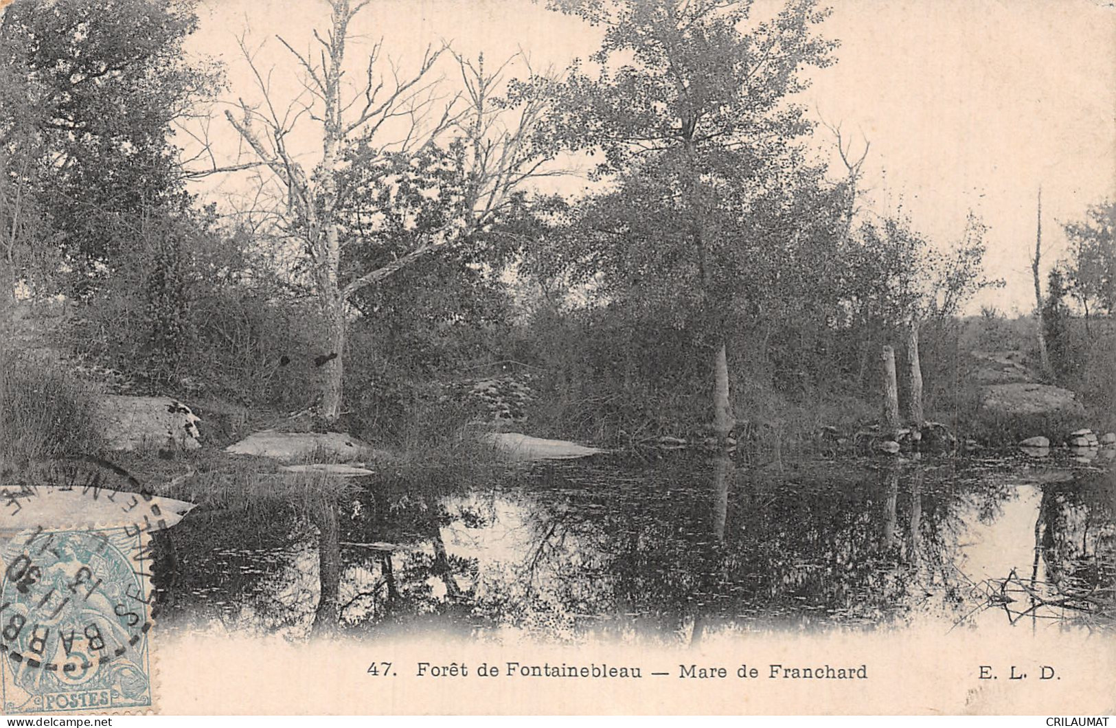 77-FONTAINEBLEAU LA FORET-N°5136-D/0331 - Fontainebleau