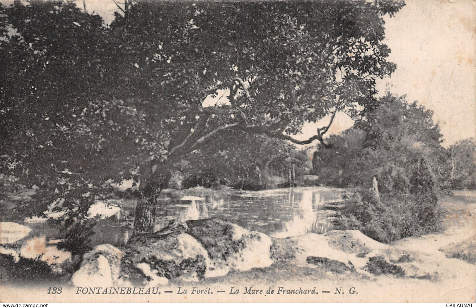 77-FONTAINEBLEAU LA FORET-N°5136-D/0327 - Fontainebleau