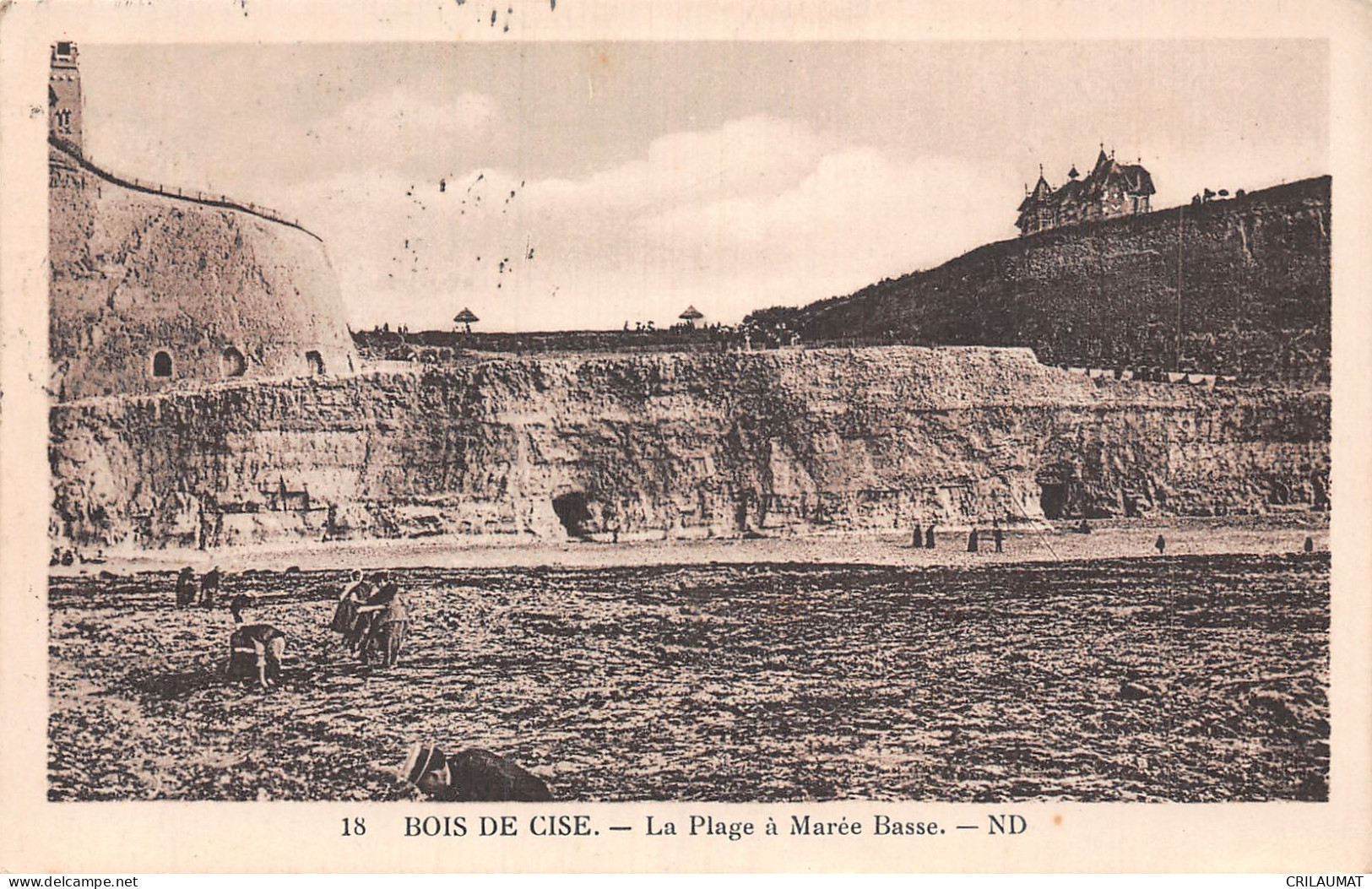 80-BOIS DE CISE -N°5136-D/0113 - Bois-de-Cise
