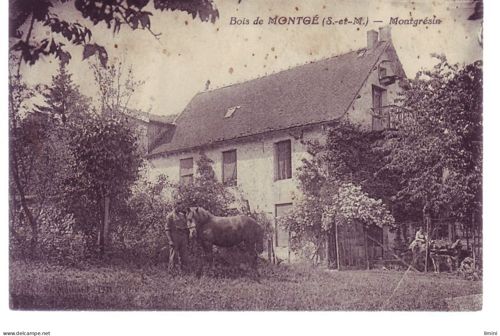 77 - MONTGÉ - MONTGRÉSIN - ANIMÉE - ATTELAGE -  - Other & Unclassified