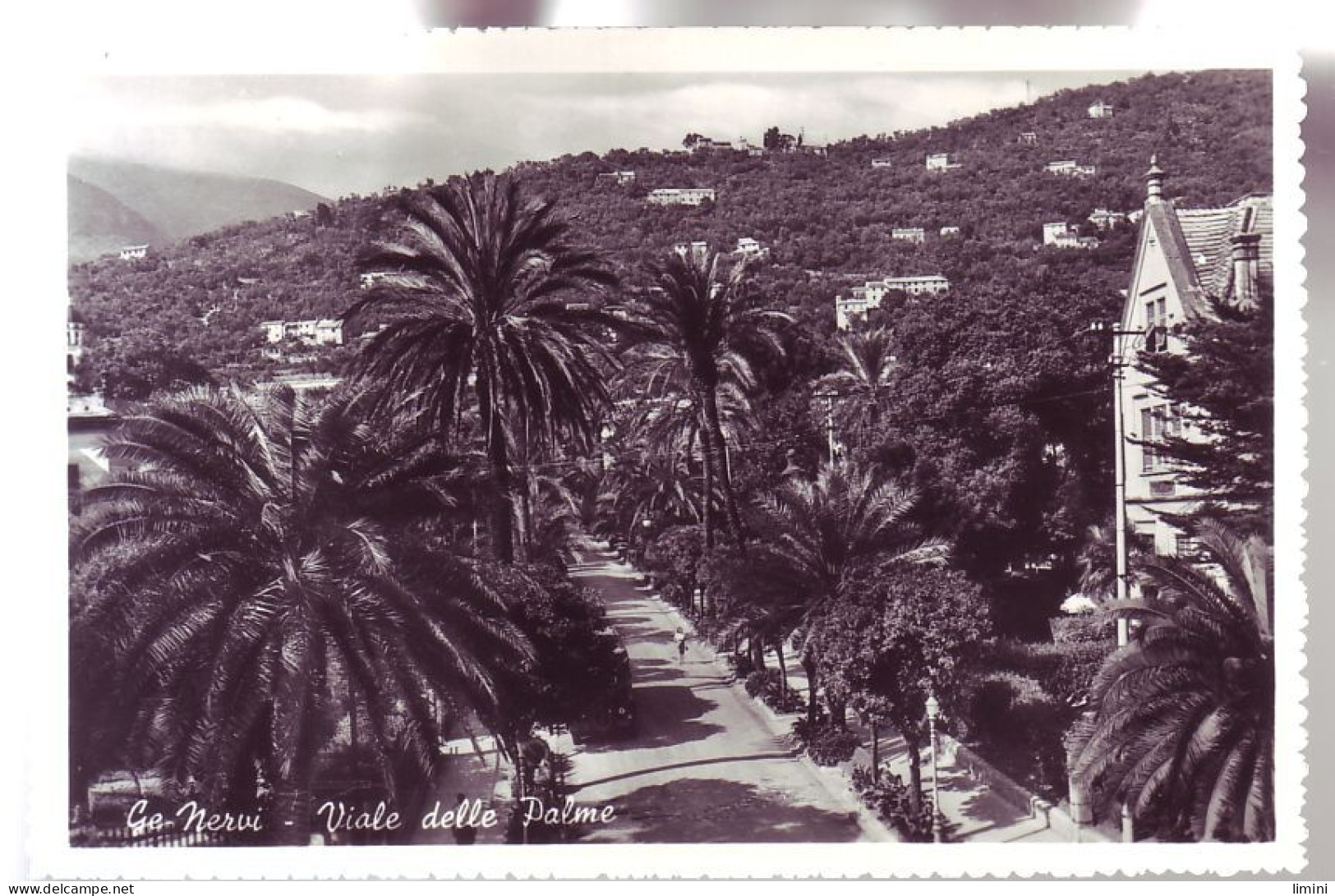 ITALIE - GE-NERVI - AVENUE Des PALMIERS - - Autres & Non Classés