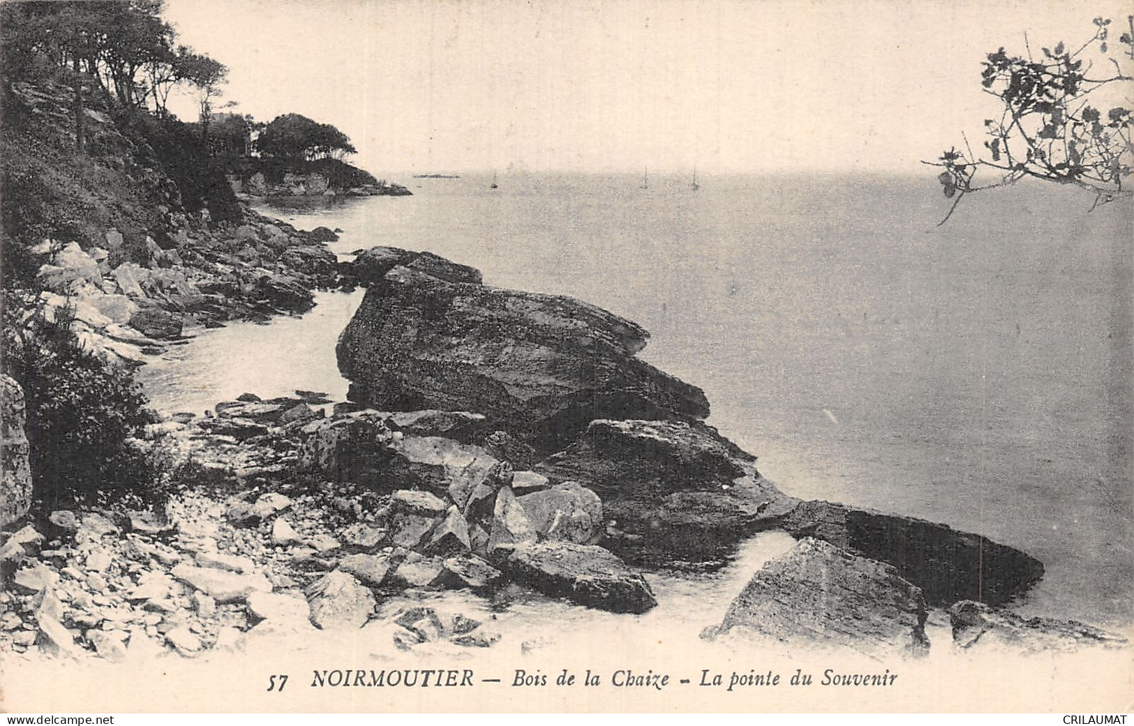 85-ILE DE NOIRMOUTIER BOIS DE LA CHAIZE-N°5136-H/0337 - Ile De Noirmoutier