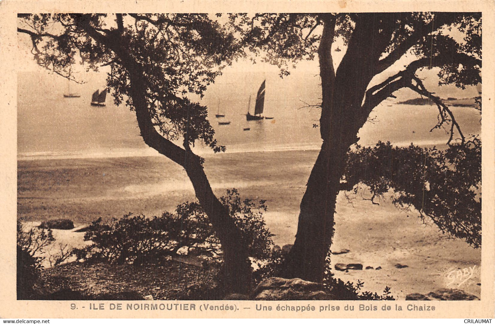 85-ILE DE NOIRMOUTIER BOIS DE LA CHAIZE-N°5136-H/0331 - Ile De Noirmoutier