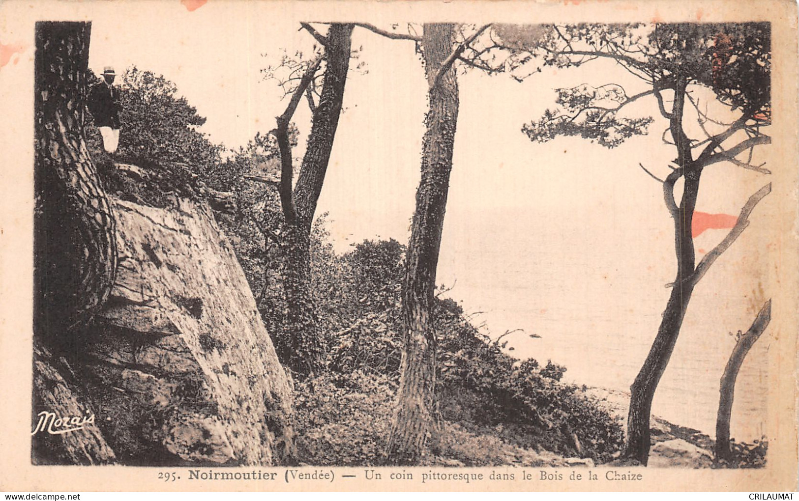 85-ILE DE NOIRMOUTIER BOIS DE LA CHAIZE-N°5136-H/0313 - Ile De Noirmoutier