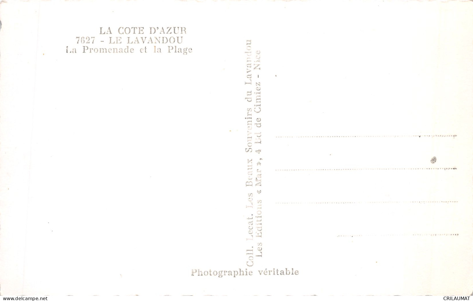 83-LE LAVANDOU-N°5136-H/0241 - Le Lavandou