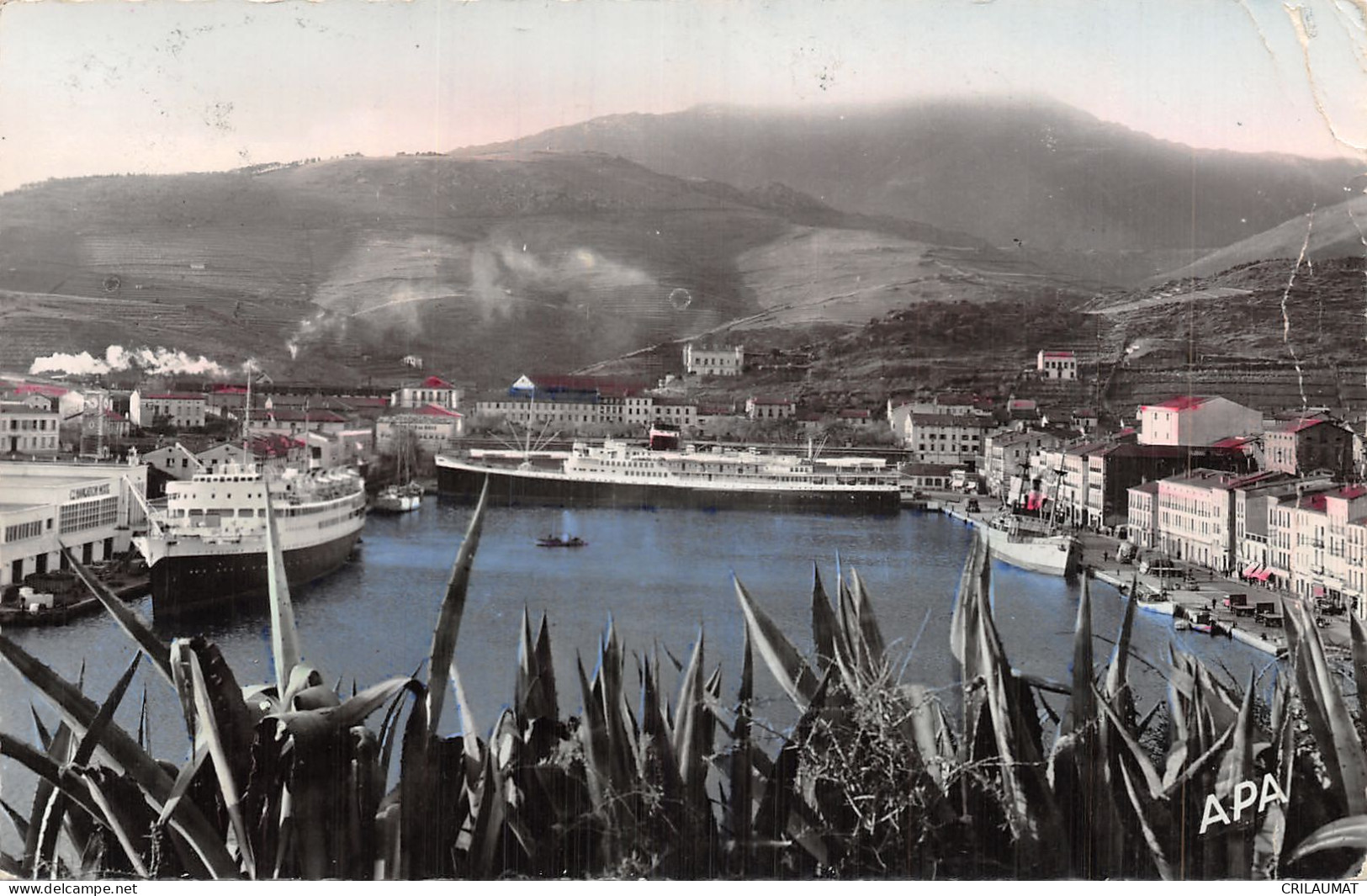 66-PORT VENDRES-N°5136-H/0193 - Port Vendres