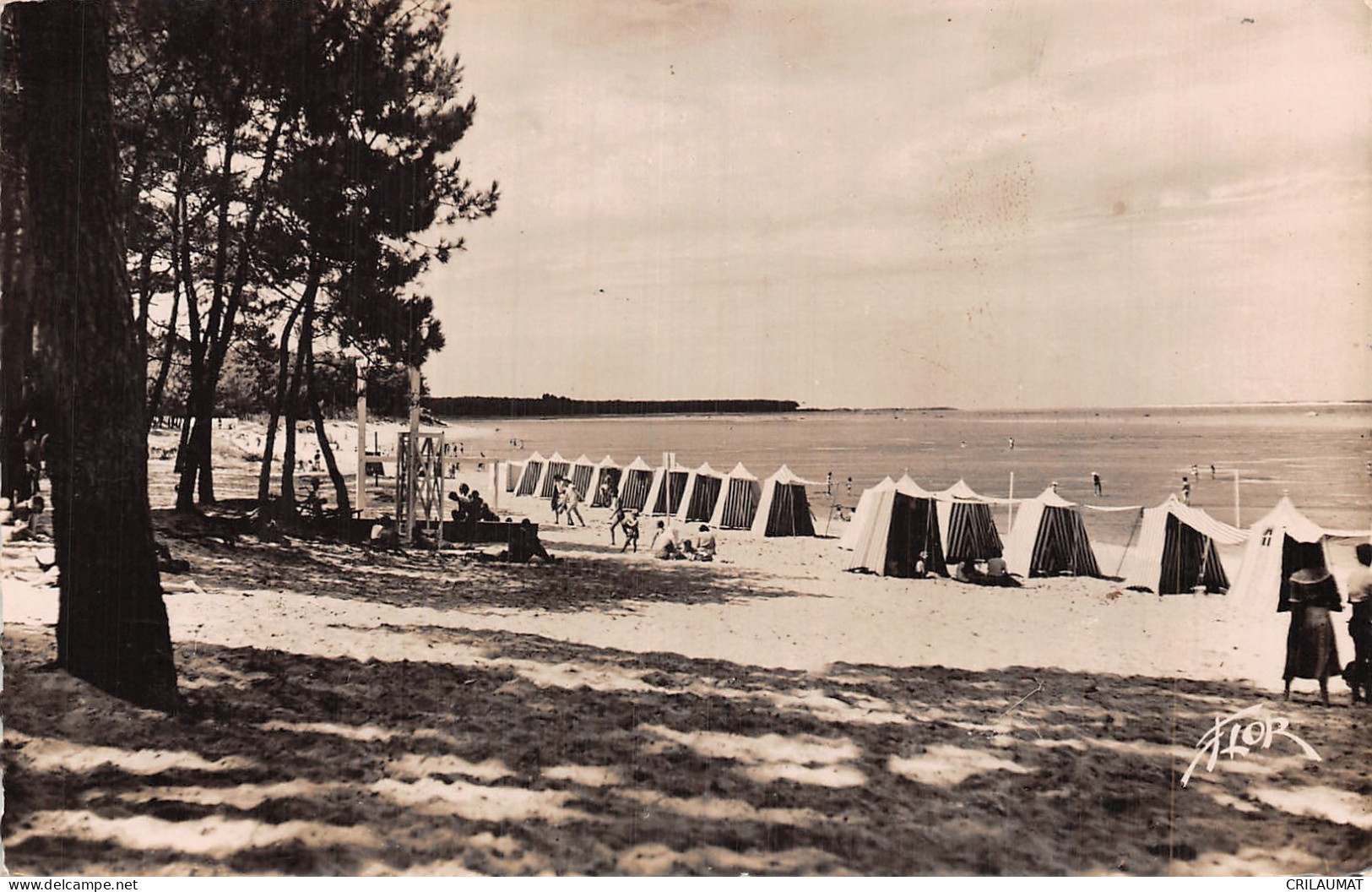 17-RONCE LES BAINS-N°5136-H/0137 - Autres & Non Classés