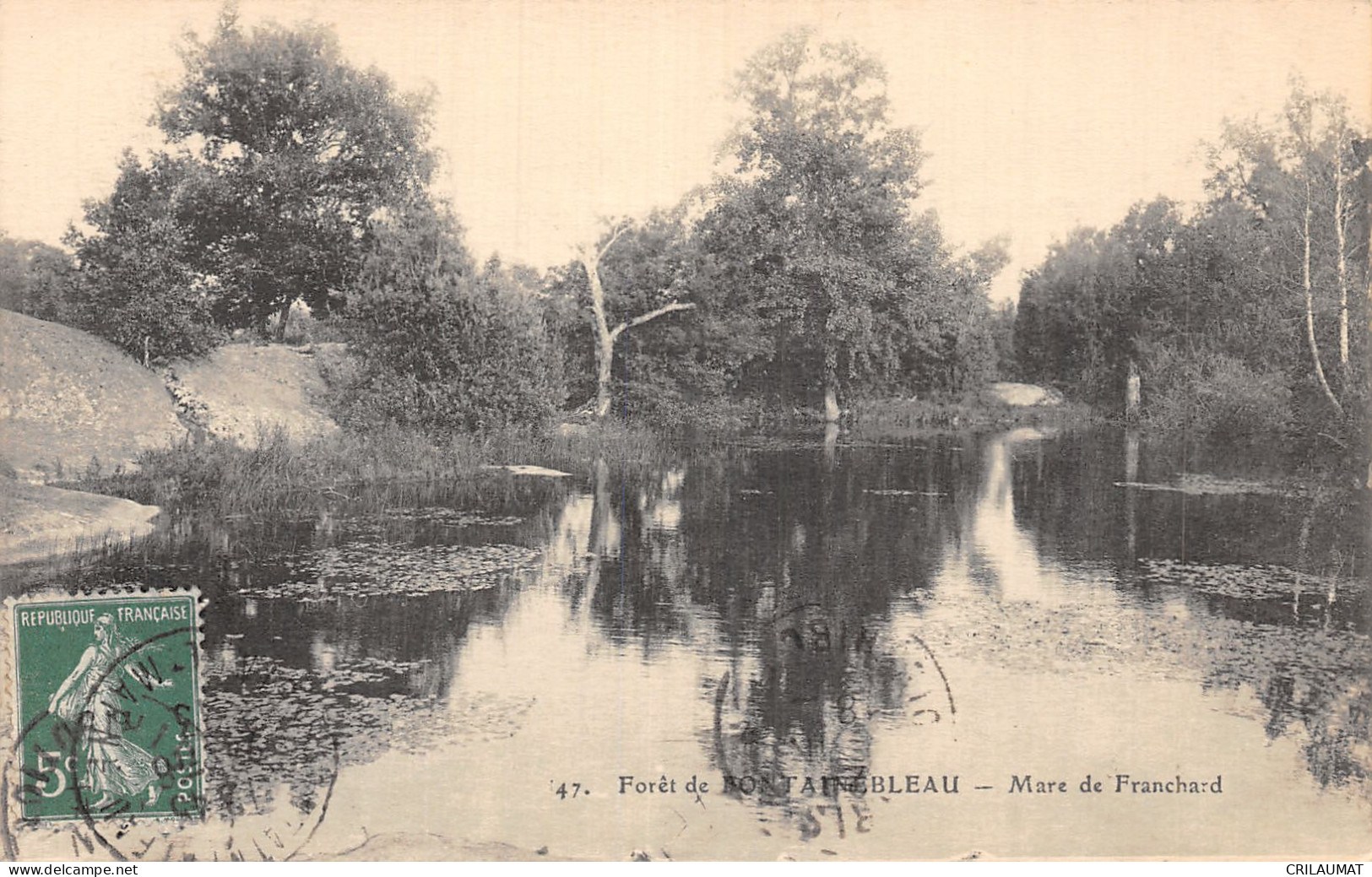 77-FONTAINEBLEAU LA FORET-N°5136-G/0373 - Fontainebleau