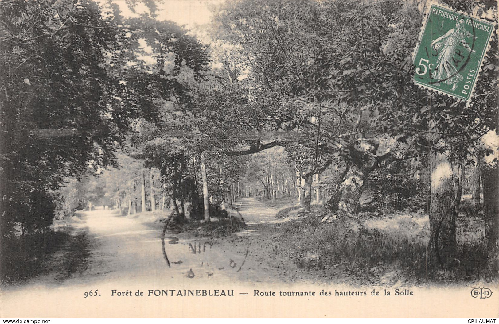 77-FONTAINEBLEAU LA FORET-N°5136-G/0369 - Fontainebleau