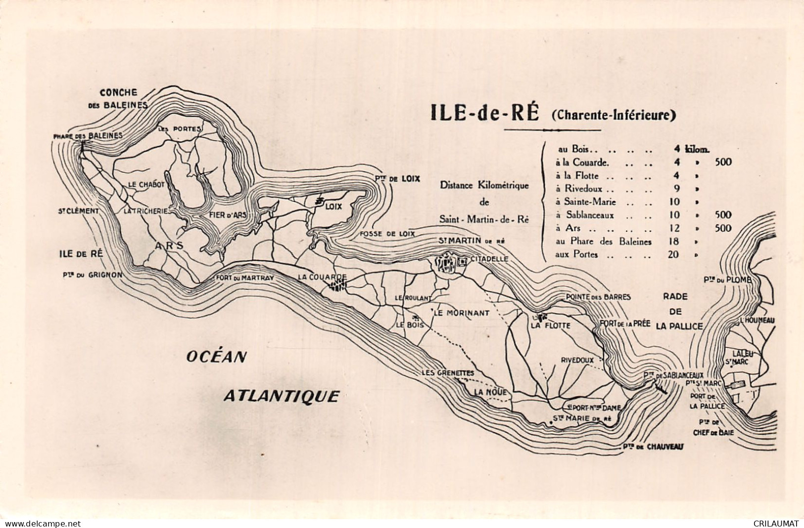 17-ILE DE RE LA CARTE-N°5136-G/0275 - Ile De Ré