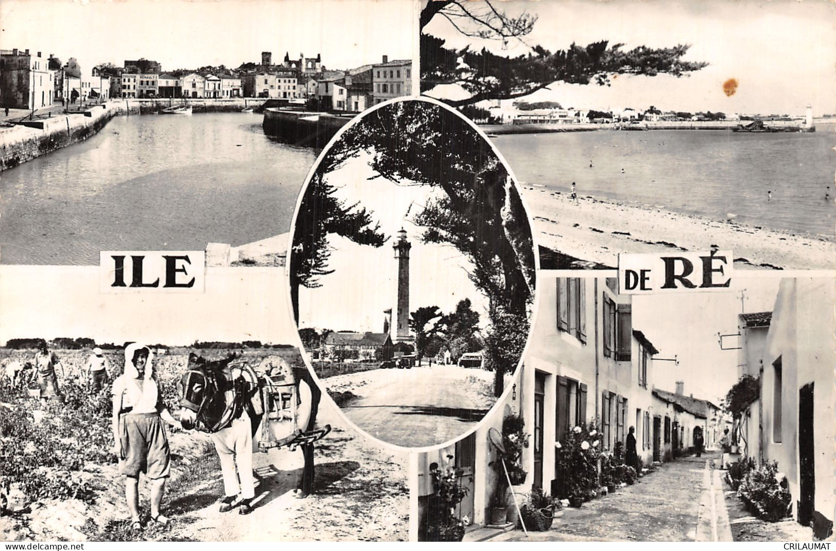 17-ILE DE RE LA FLOTTE-N°5136-G/0279 - Ile De Ré