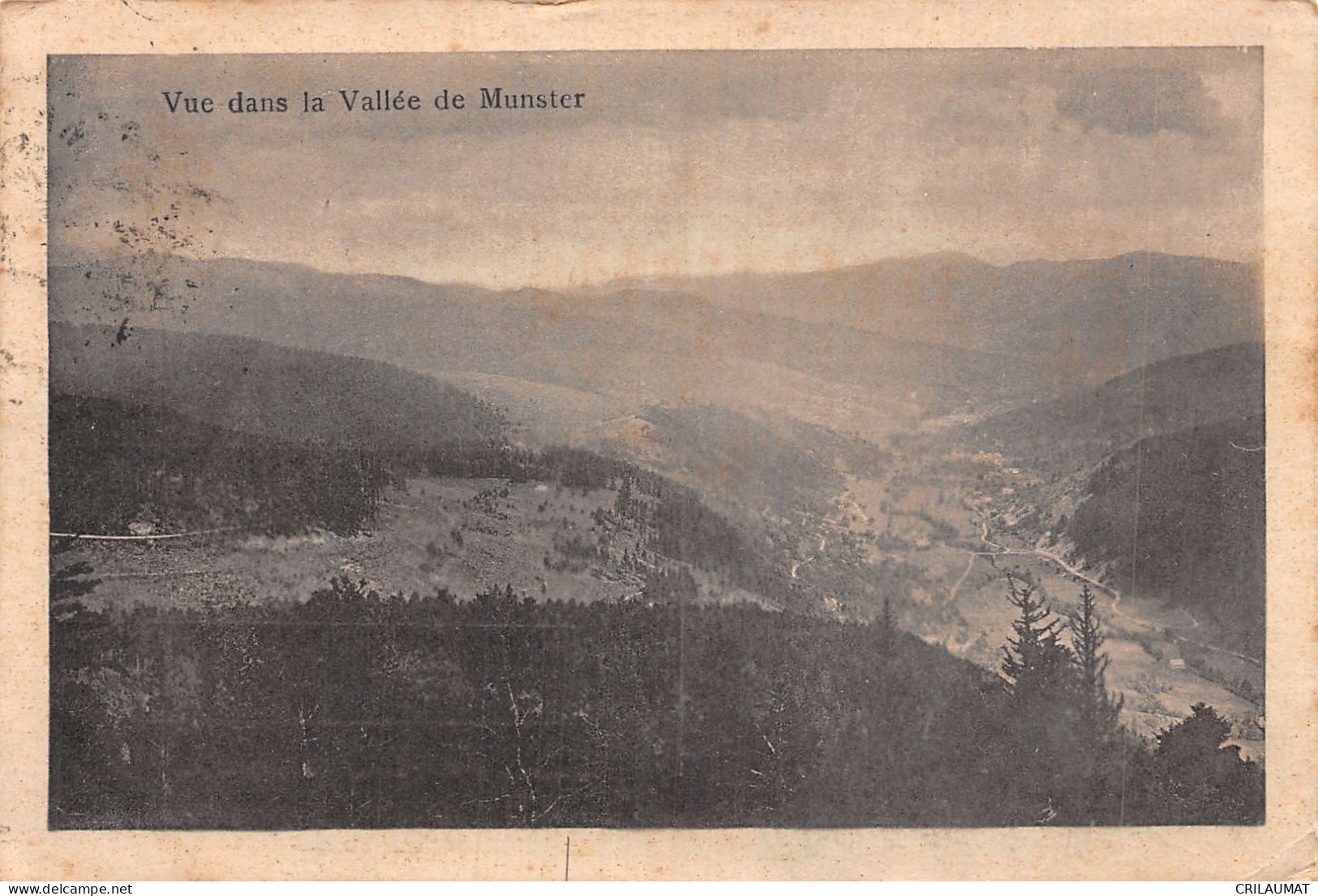 68-VALLEE DE MUNSTER-N°5136-G/0107 - Altri & Non Classificati