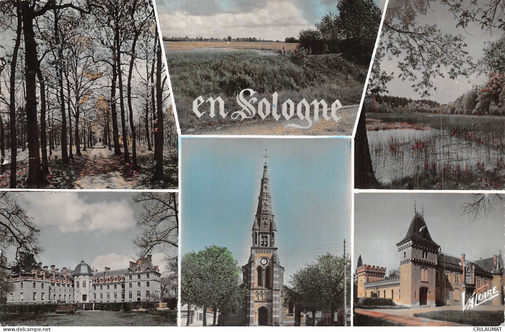 41-LA SOLOGNE-N°5136-G/0009 - Other & Unclassified