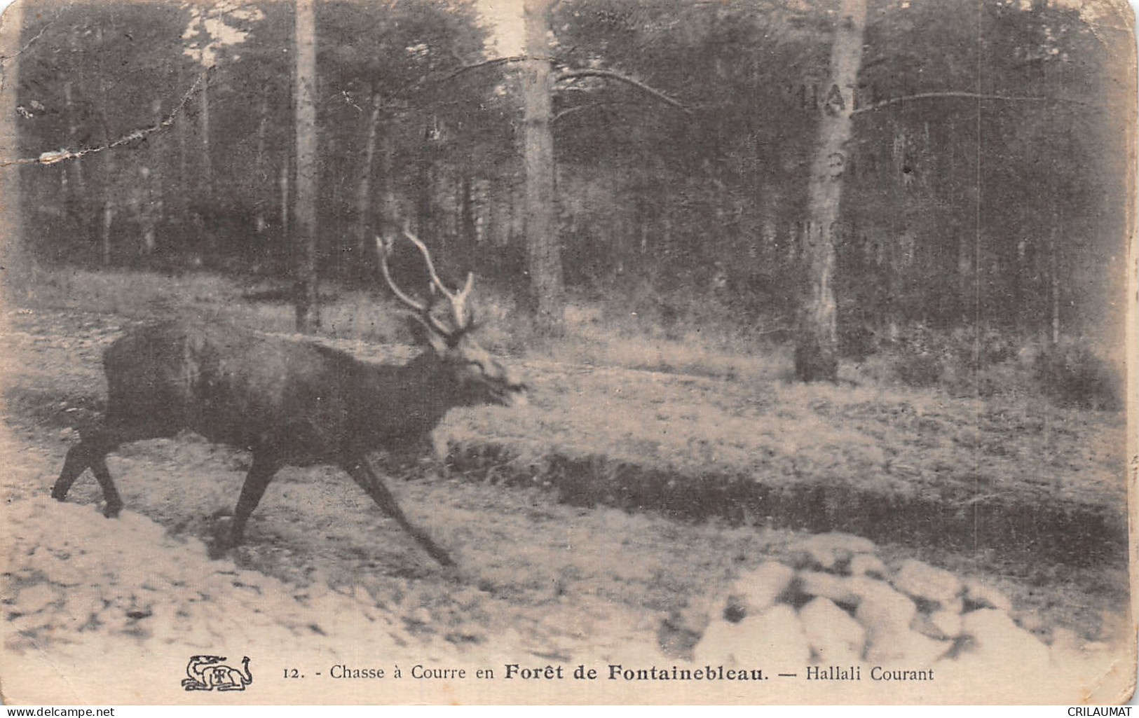 77-FONTAINEBLEAU LA FORET-N°5136-F/0329 - Fontainebleau