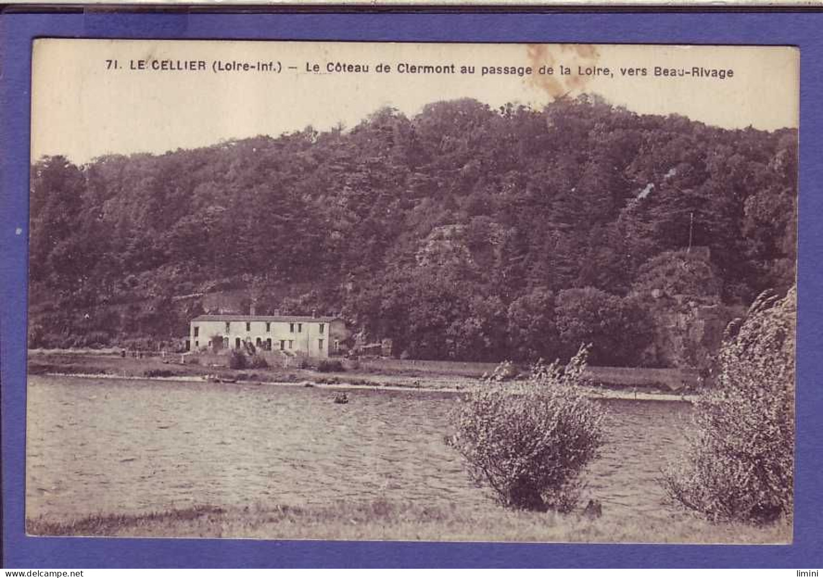 44  - LE CELLIER - CÔTEAU De CLERMONT -  La LOIRE Vers BEAU RIVAGE -  - Le Cellier