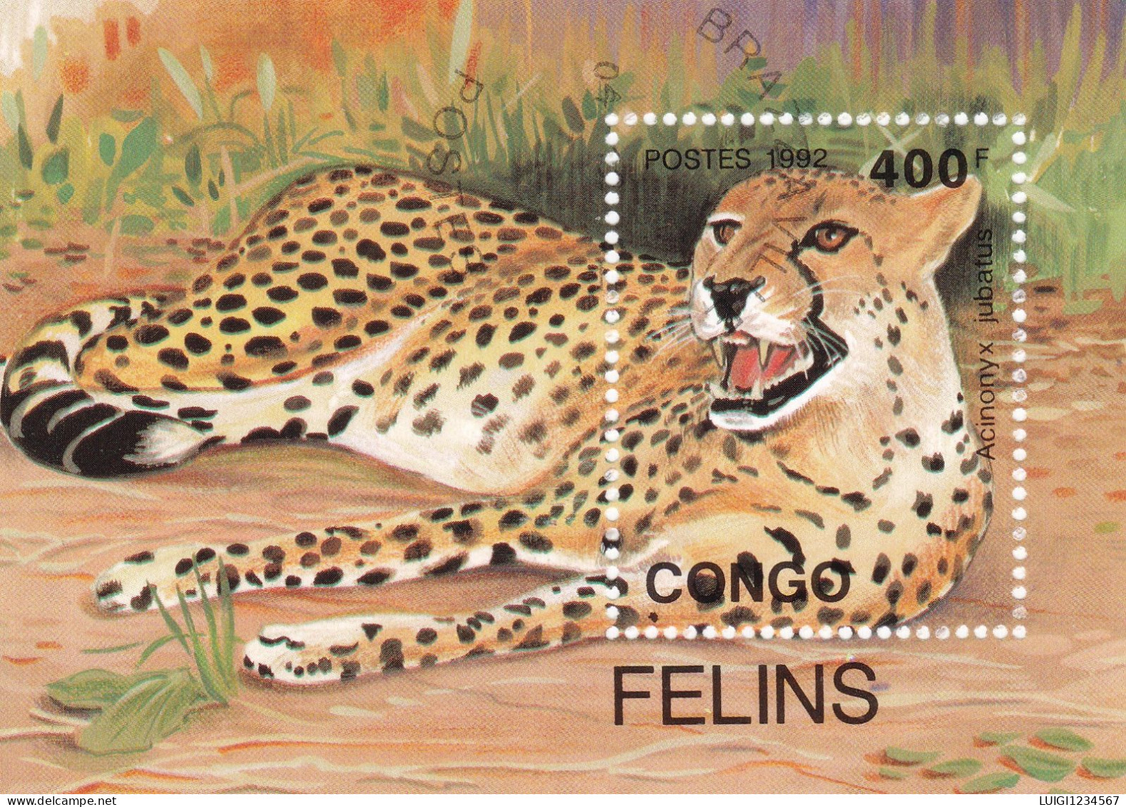 CONGO - FOGLIETTO FELINI - Félins
