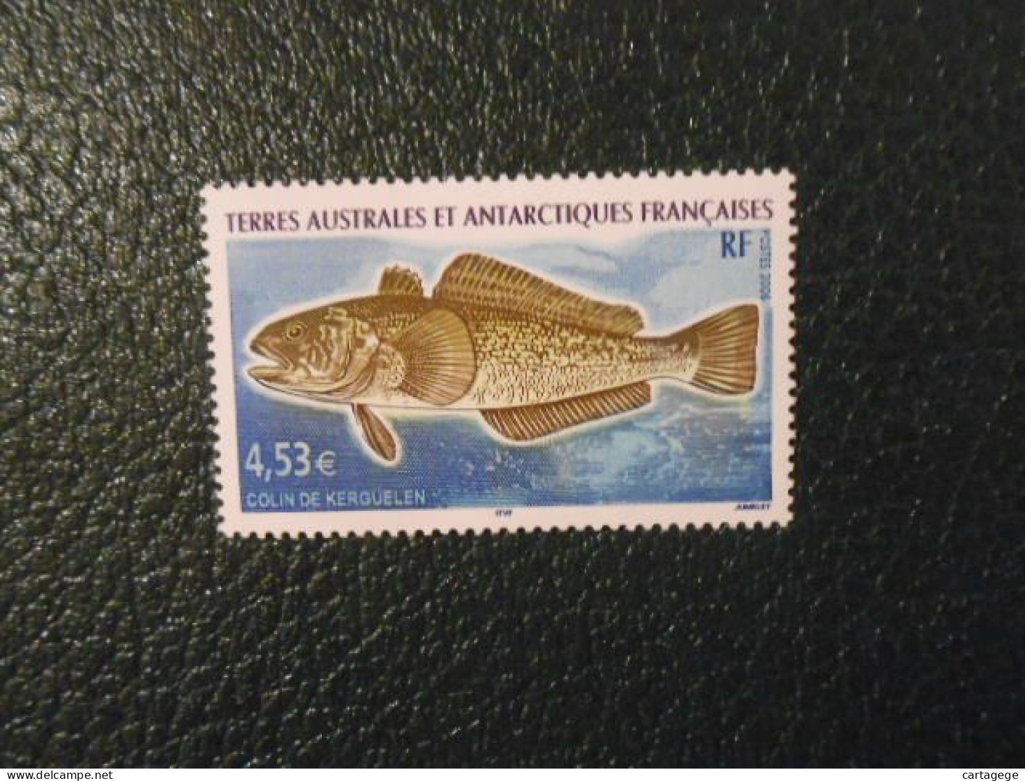 TAAF YT 439 COLIN DE KERGUELEN** - Unused Stamps