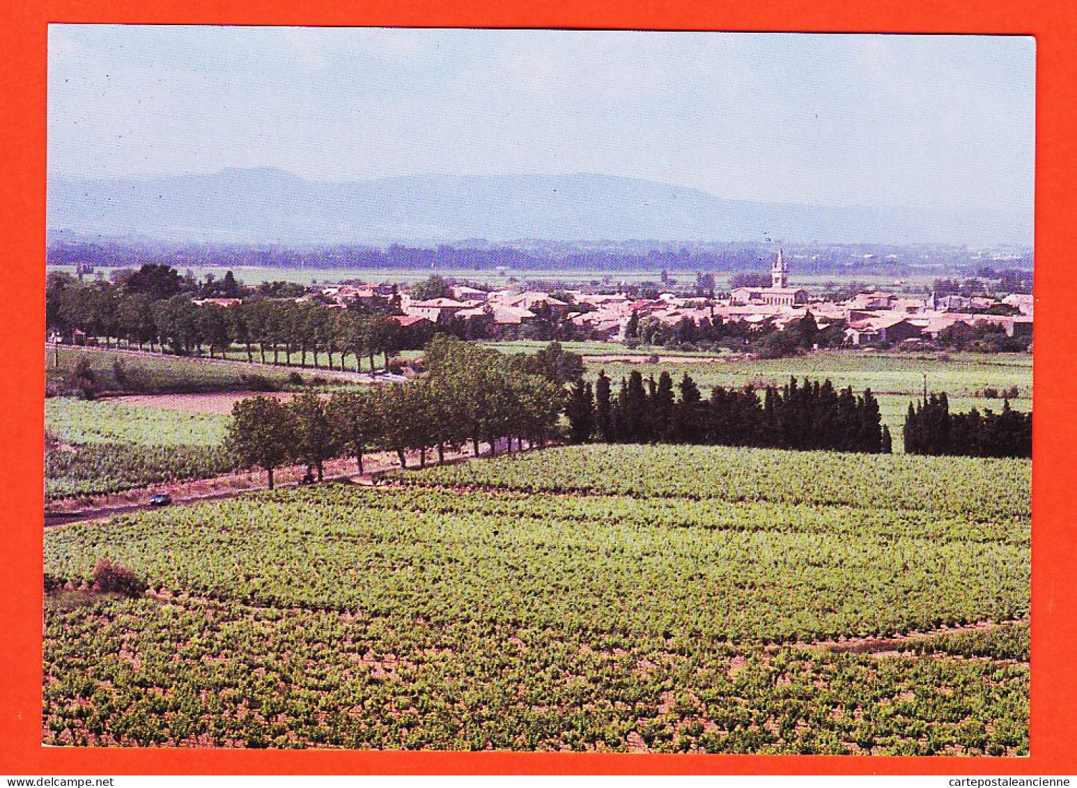 38620 / ⭐ OLONZAC-MINERVOIS Vignes Vignoble MINERVE 34-Hérault Photo JAUBERT - Other & Unclassified
