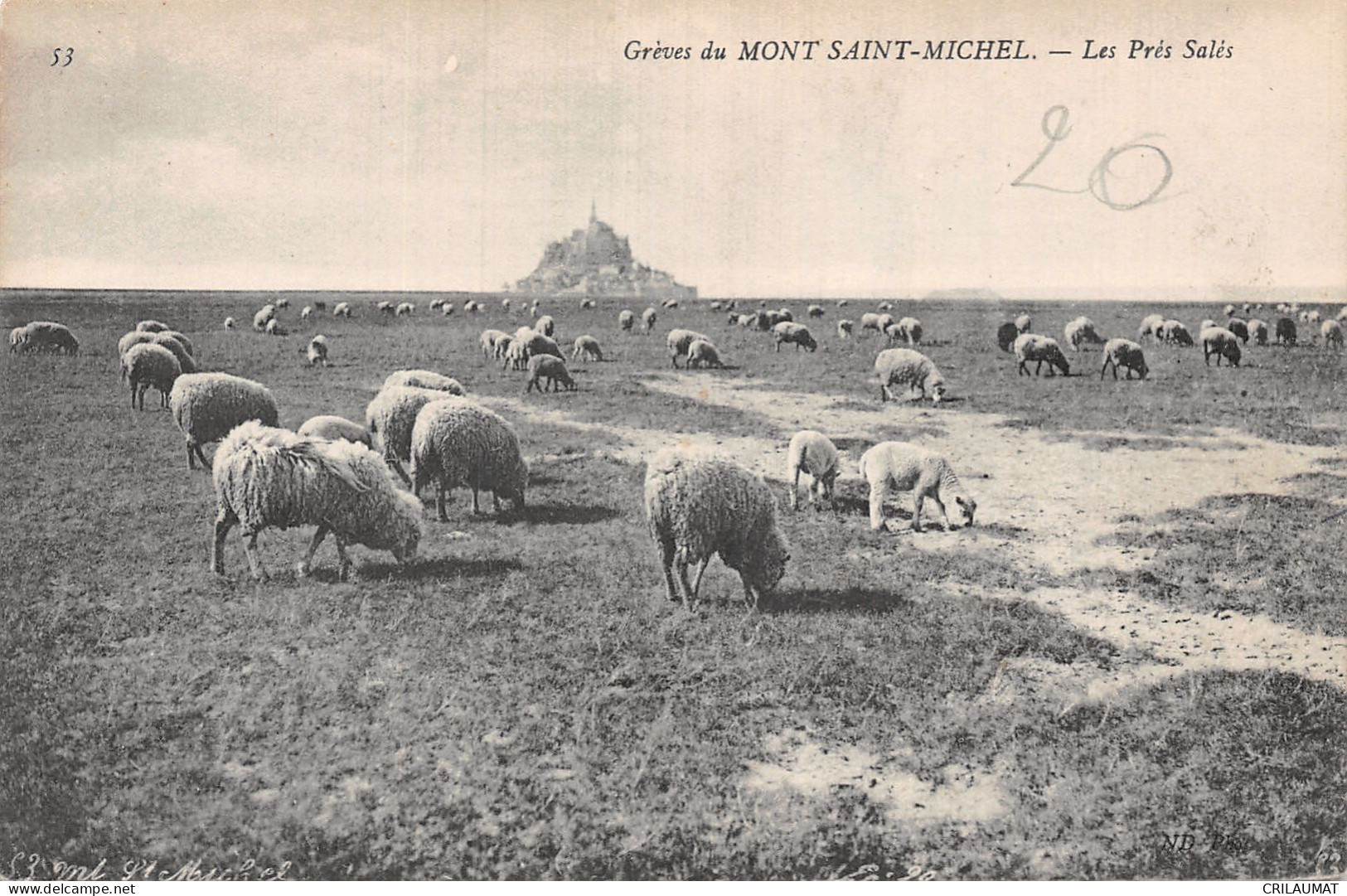 50-LE MONT SAINT MICHEL-N°5137-A/0347 - Le Mont Saint Michel