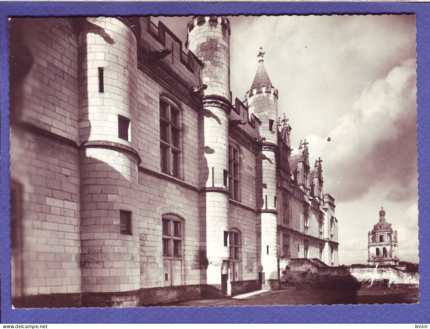 37 - LOCHES - CHATEAU -  - Loches