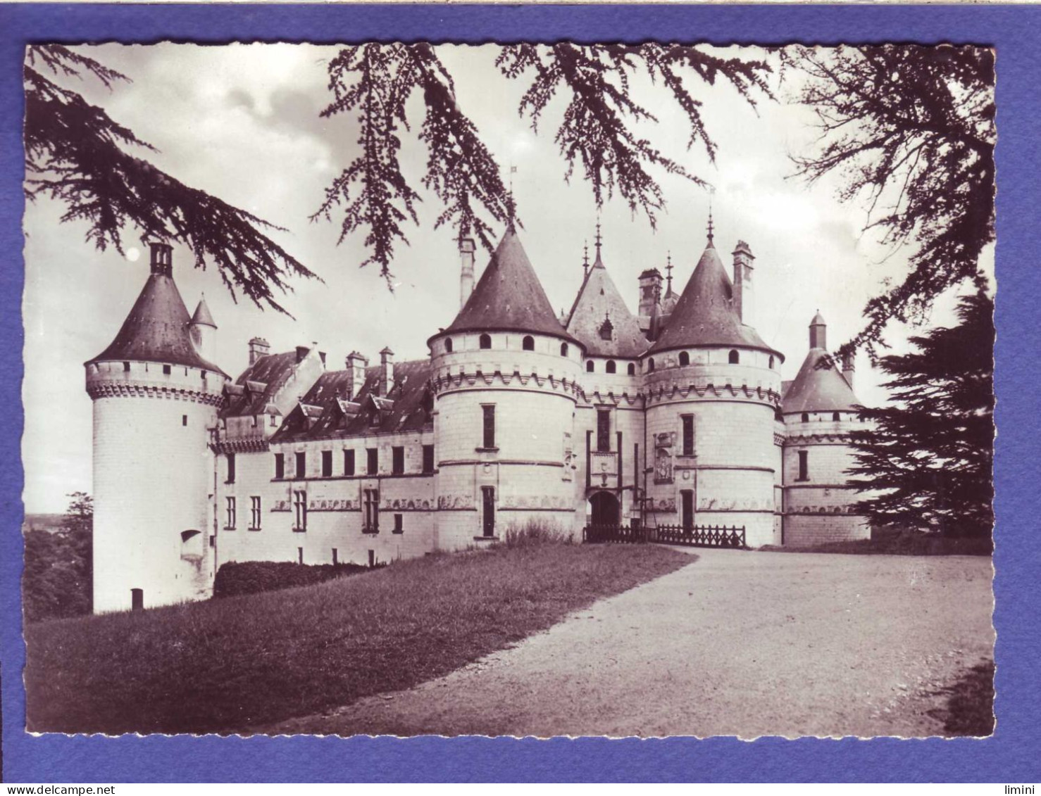 41 - CHAUMONT Sur LOIRE - CHATEAU -  - Altri & Non Classificati