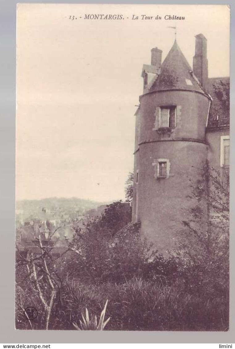 45 - MONTARGIS - TOUR Du CHATEAU  - Montargis