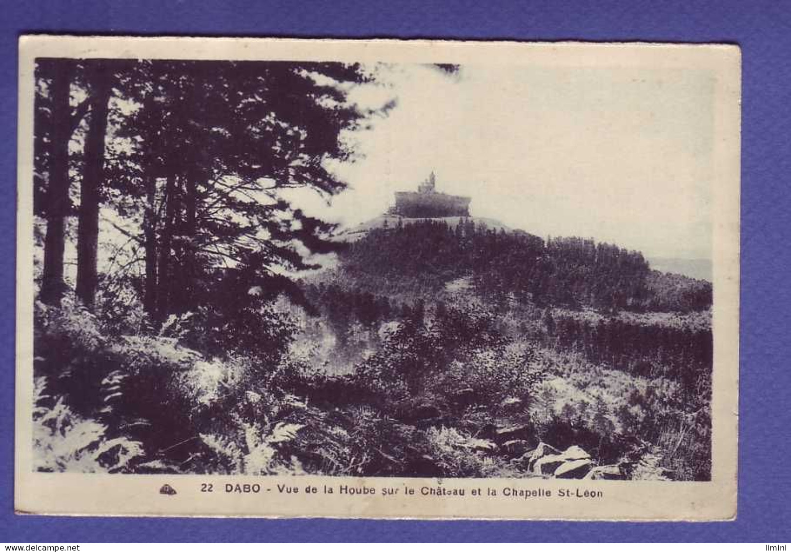 57 - DABO - VUE De La HOUBE Sur Le CHATEAU Et La CHAPELLE SAINT LÉON -  - Dabo