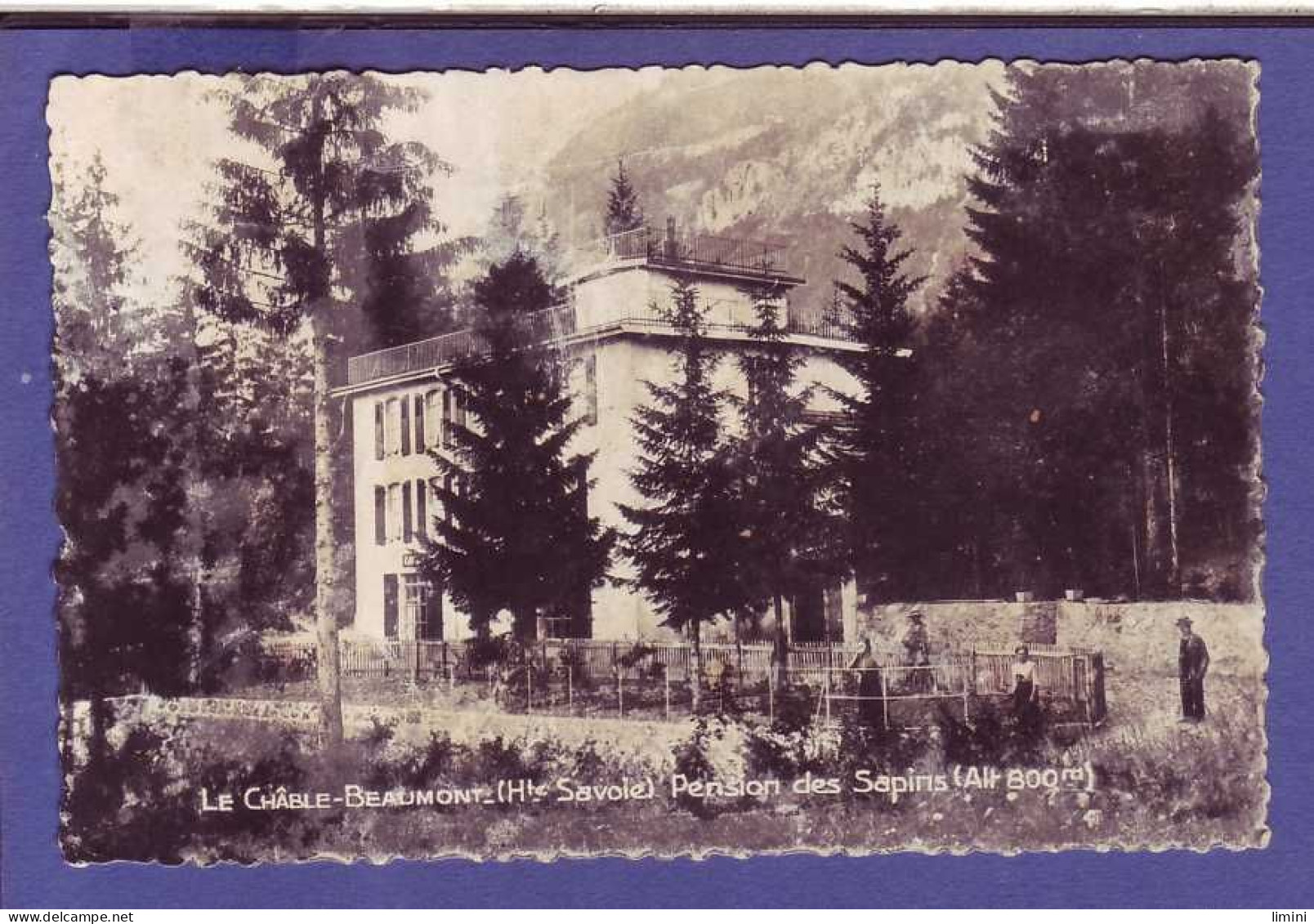 74 - LE CHÂBLE-BEAUMONT - PENSION Des SAPINS - ANIMÉE -  - Other & Unclassified