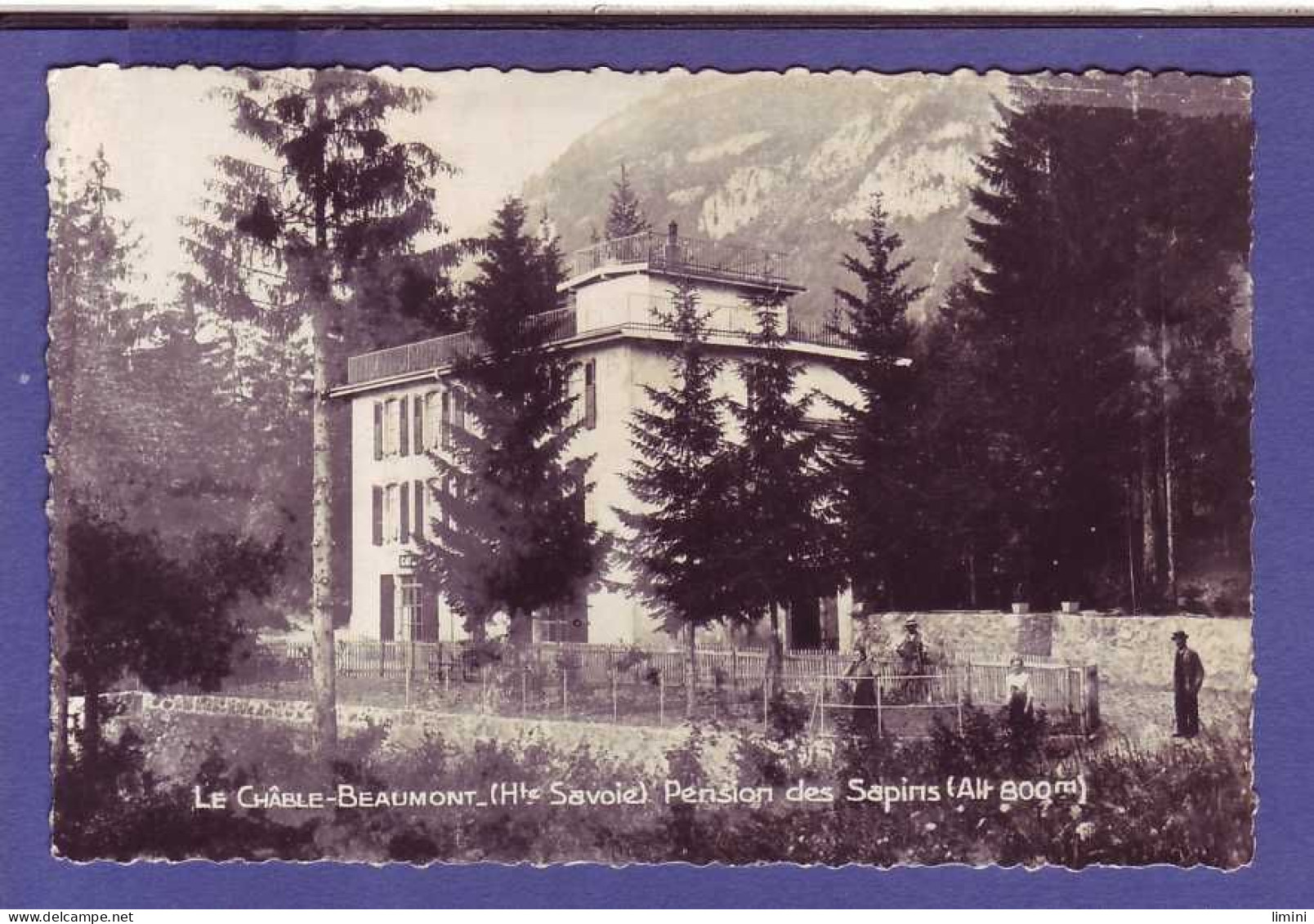 74 - LE CHÂBLE-BEAUMONT - PENSION Des SAPINS - ANIMÉE -  - Other & Unclassified