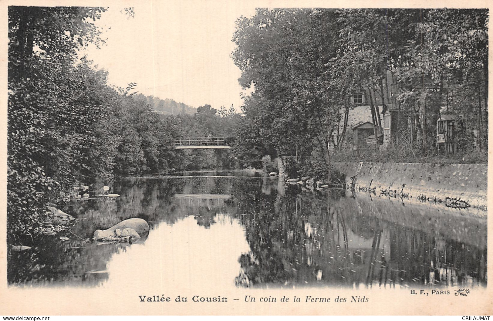 89-VALLEE DU COUSIN-N°5137-D/0007 - Other & Unclassified