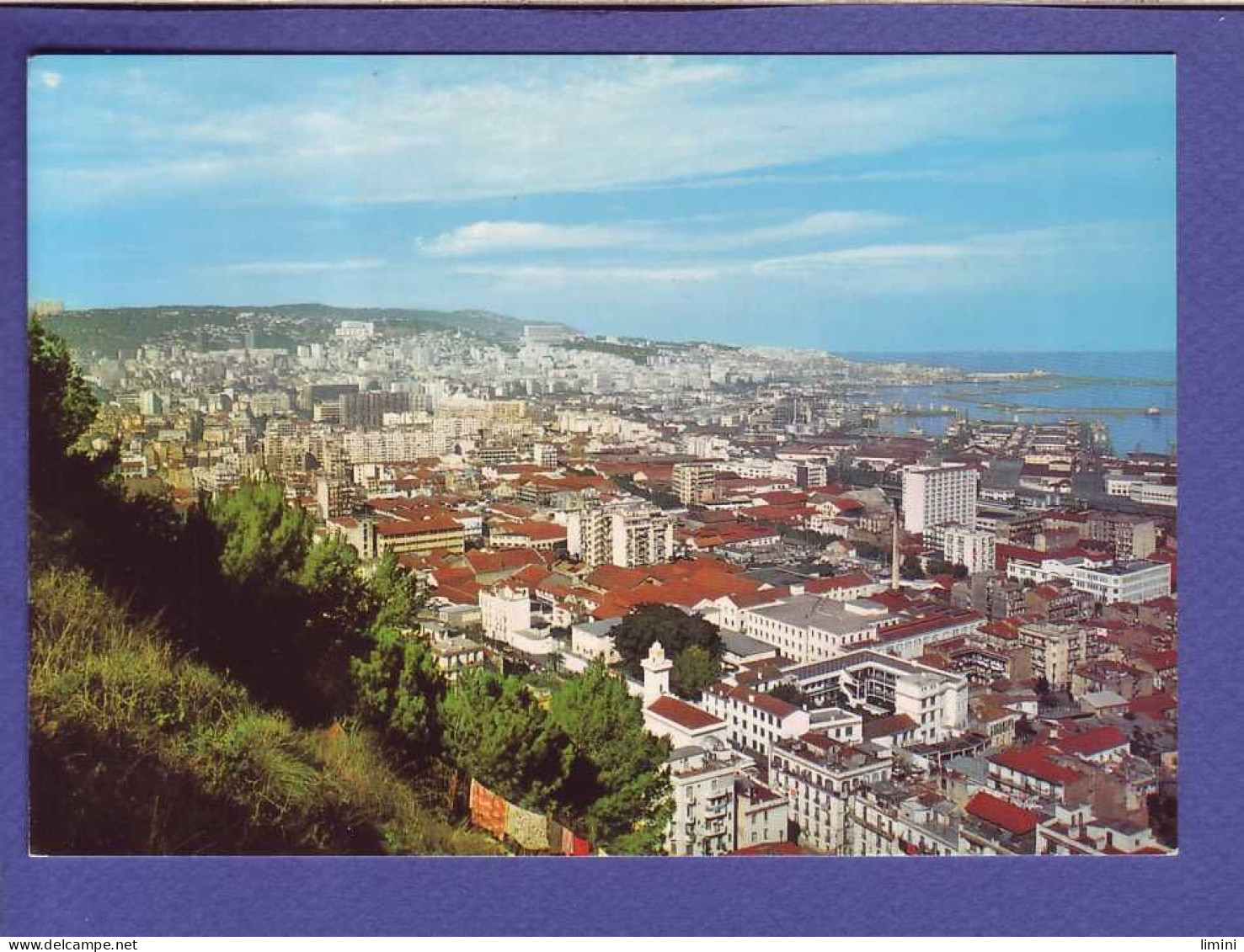 ALGERIE - ALGER - VUE GENERALE - - Alger