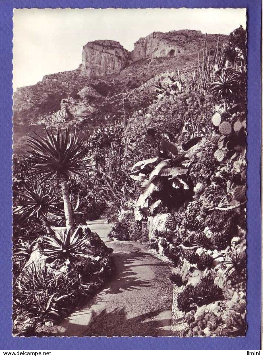 MONACO - JARDIN EXOTIQUE - ALLE DES ALOES -  - Exotic Garden